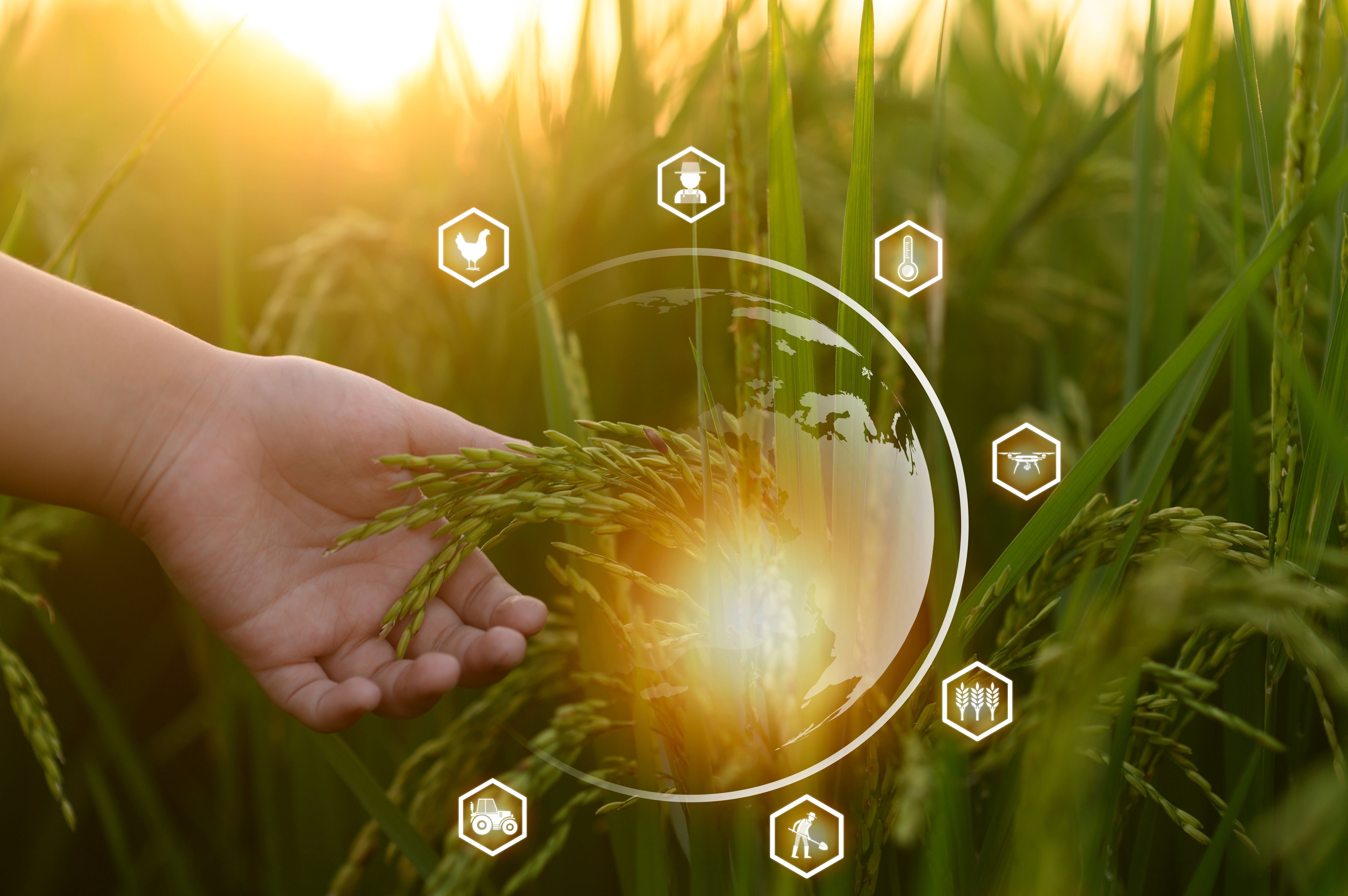 agricultural technology