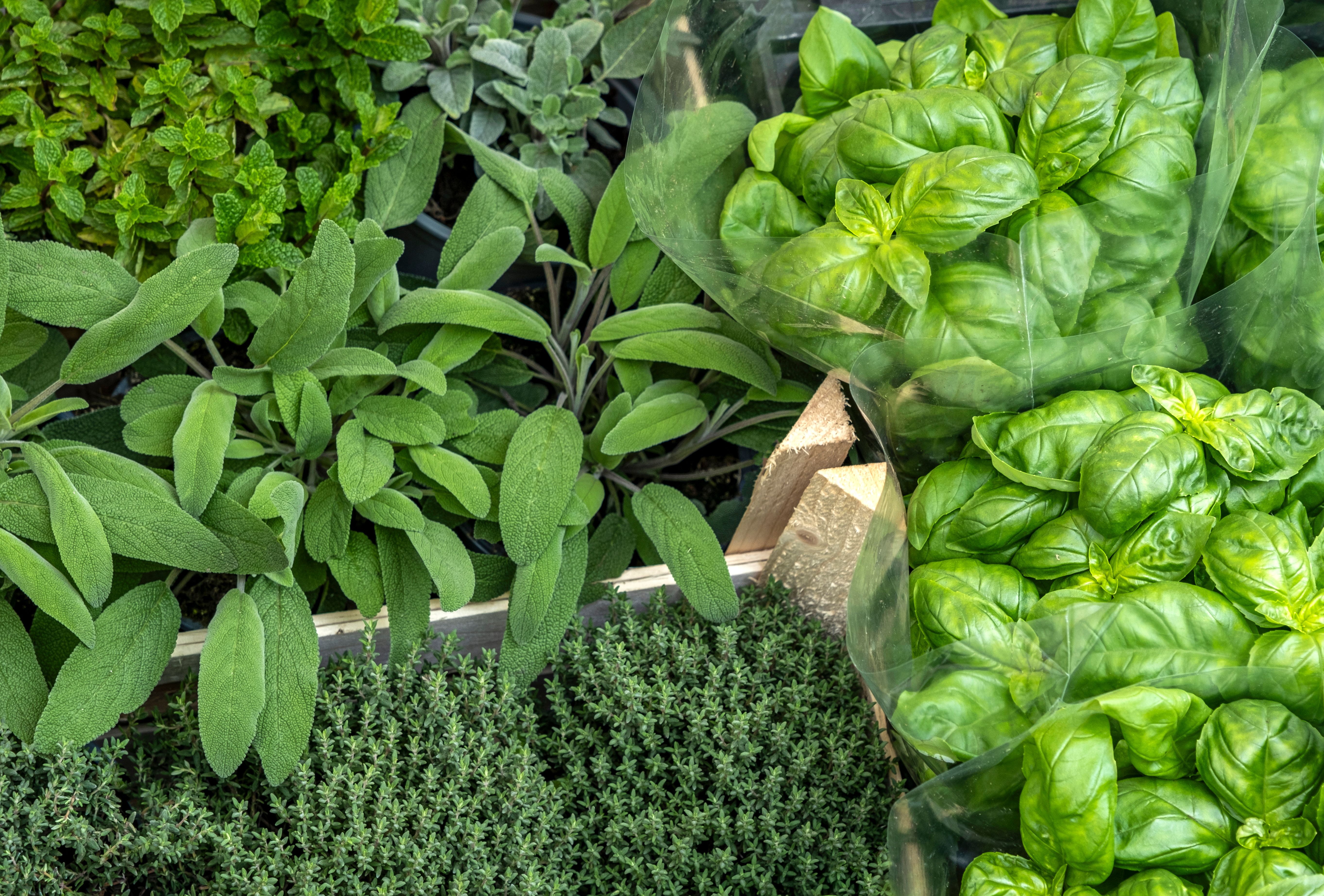 farmers market herbs