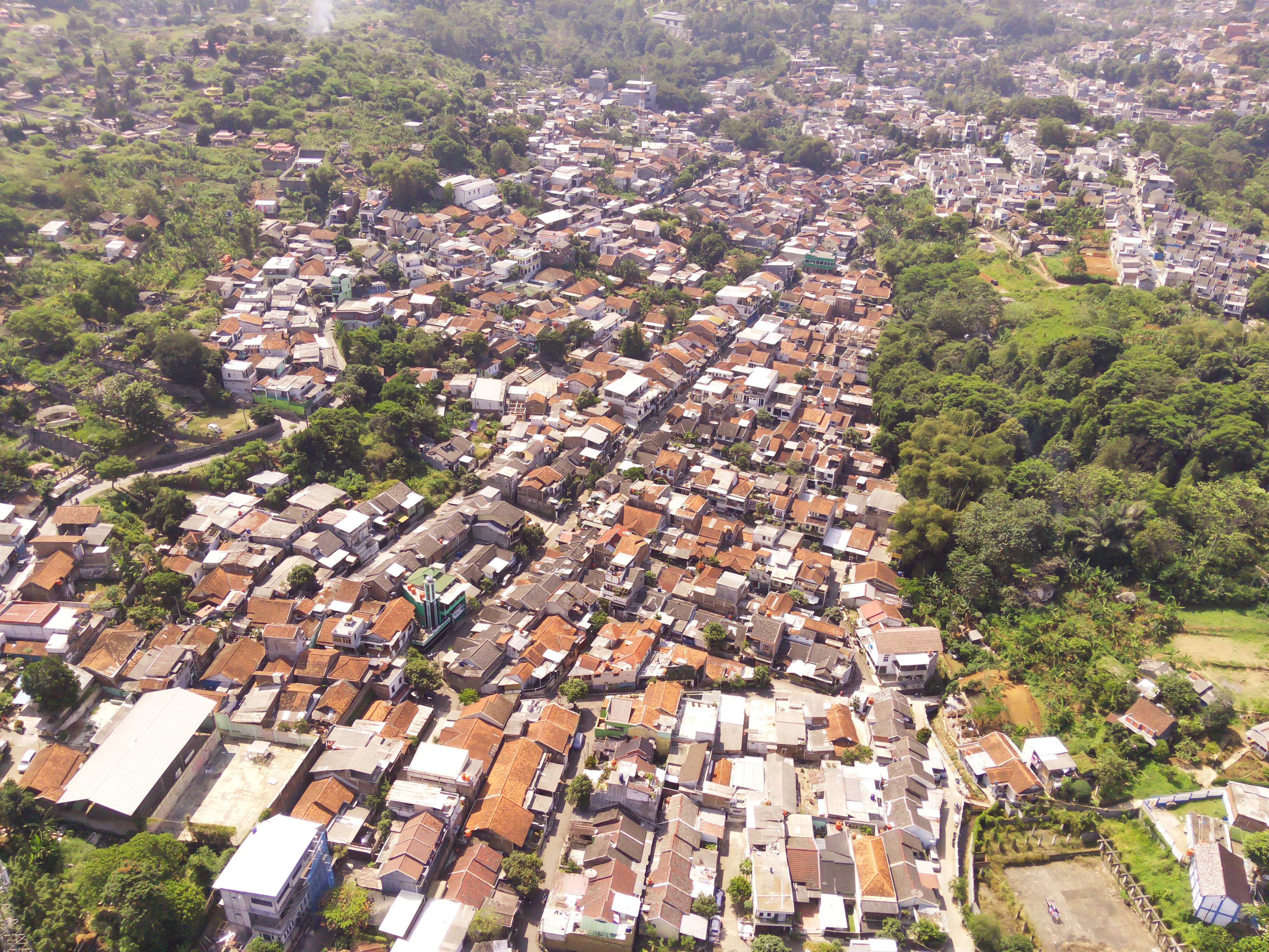 indonesian demographics