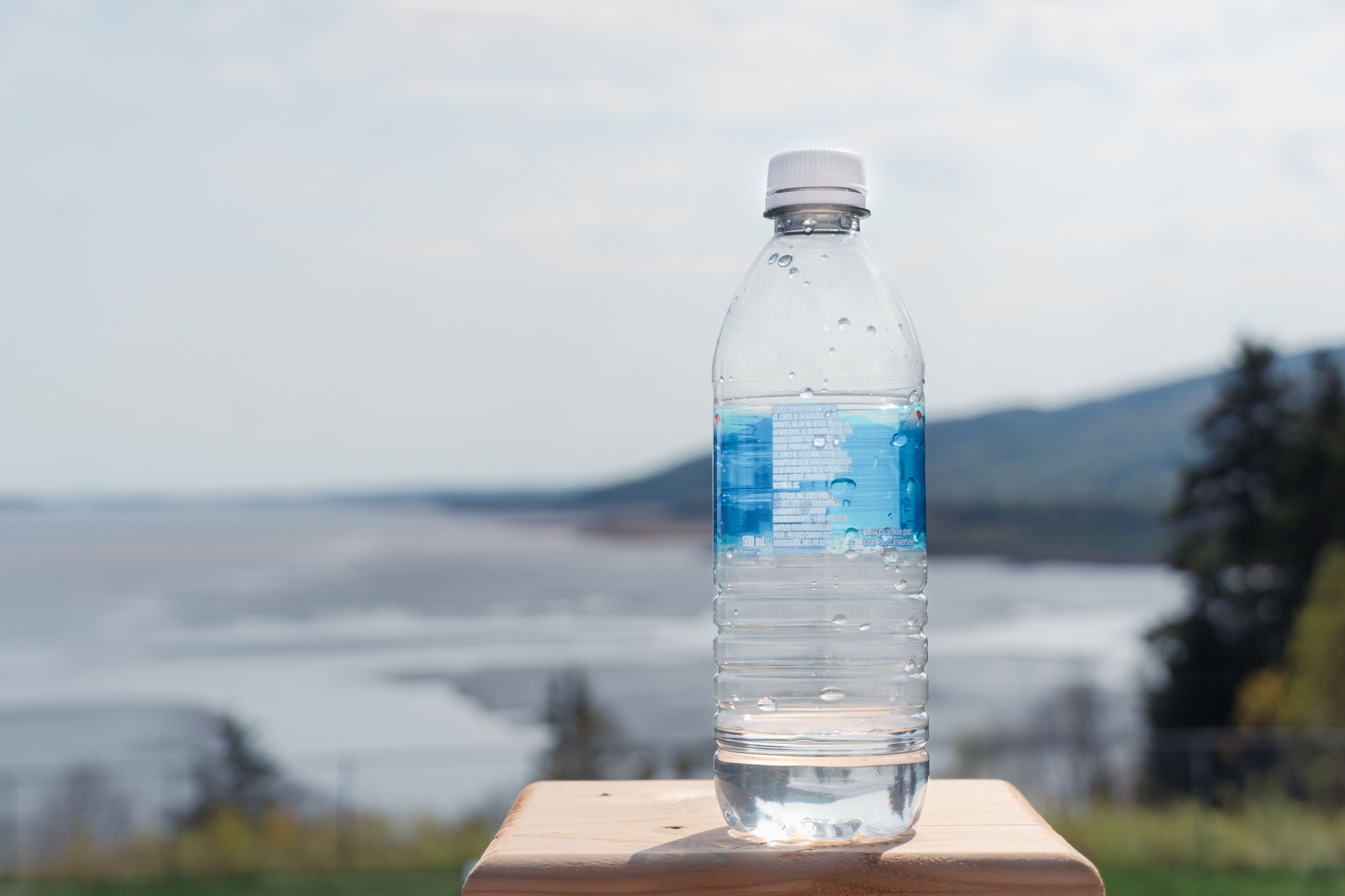 moncton community events