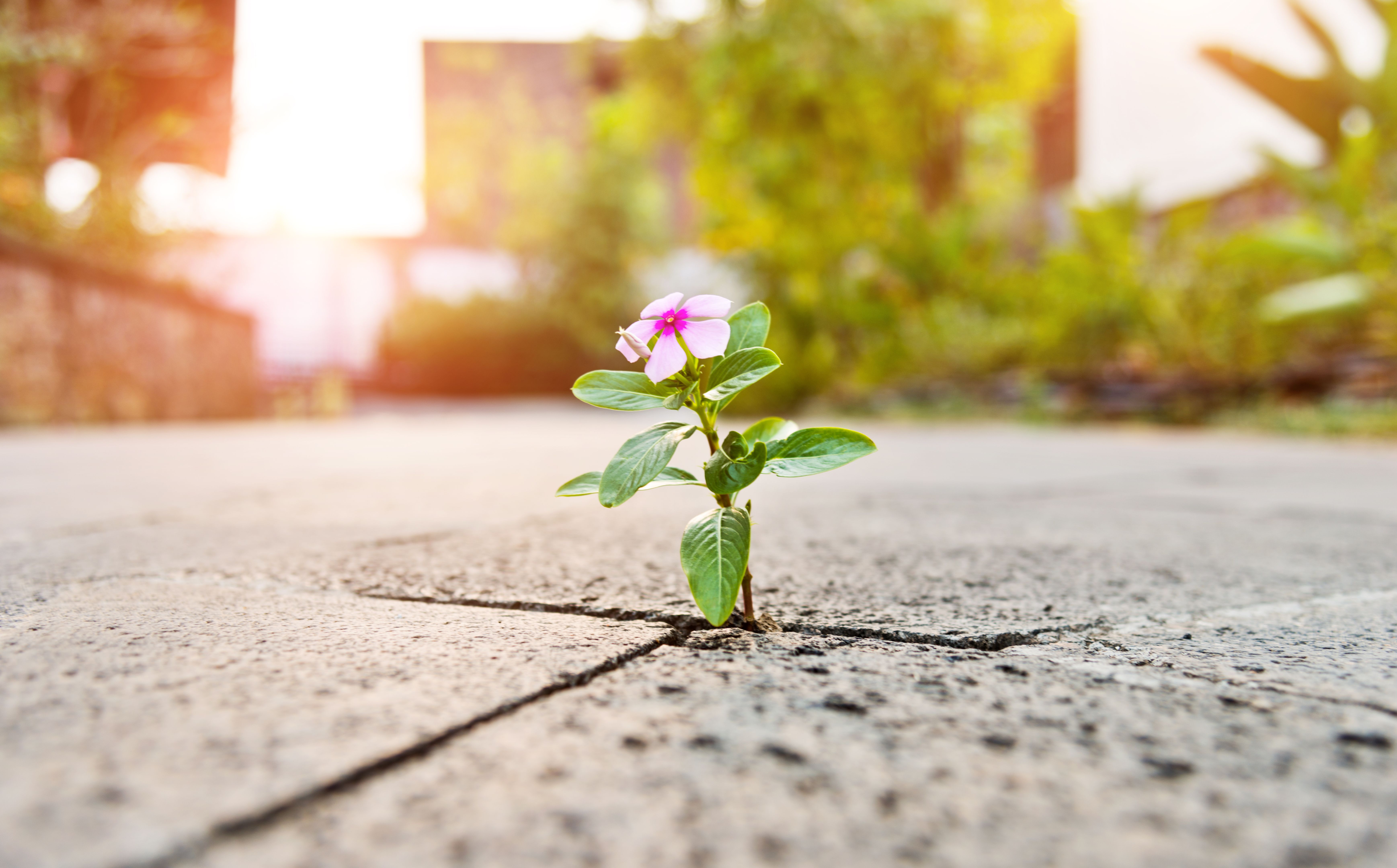overcoming resistance