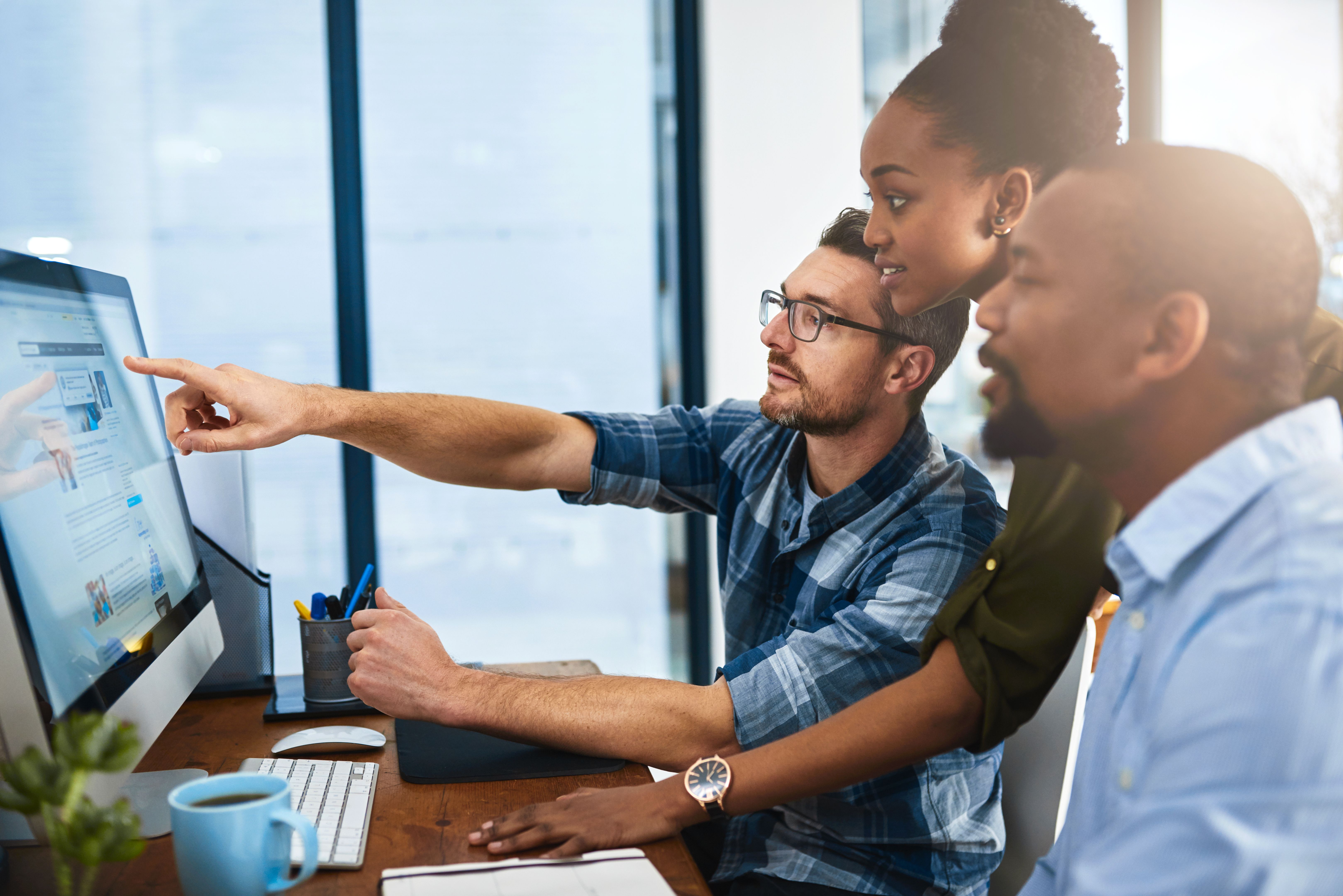 software demonstration