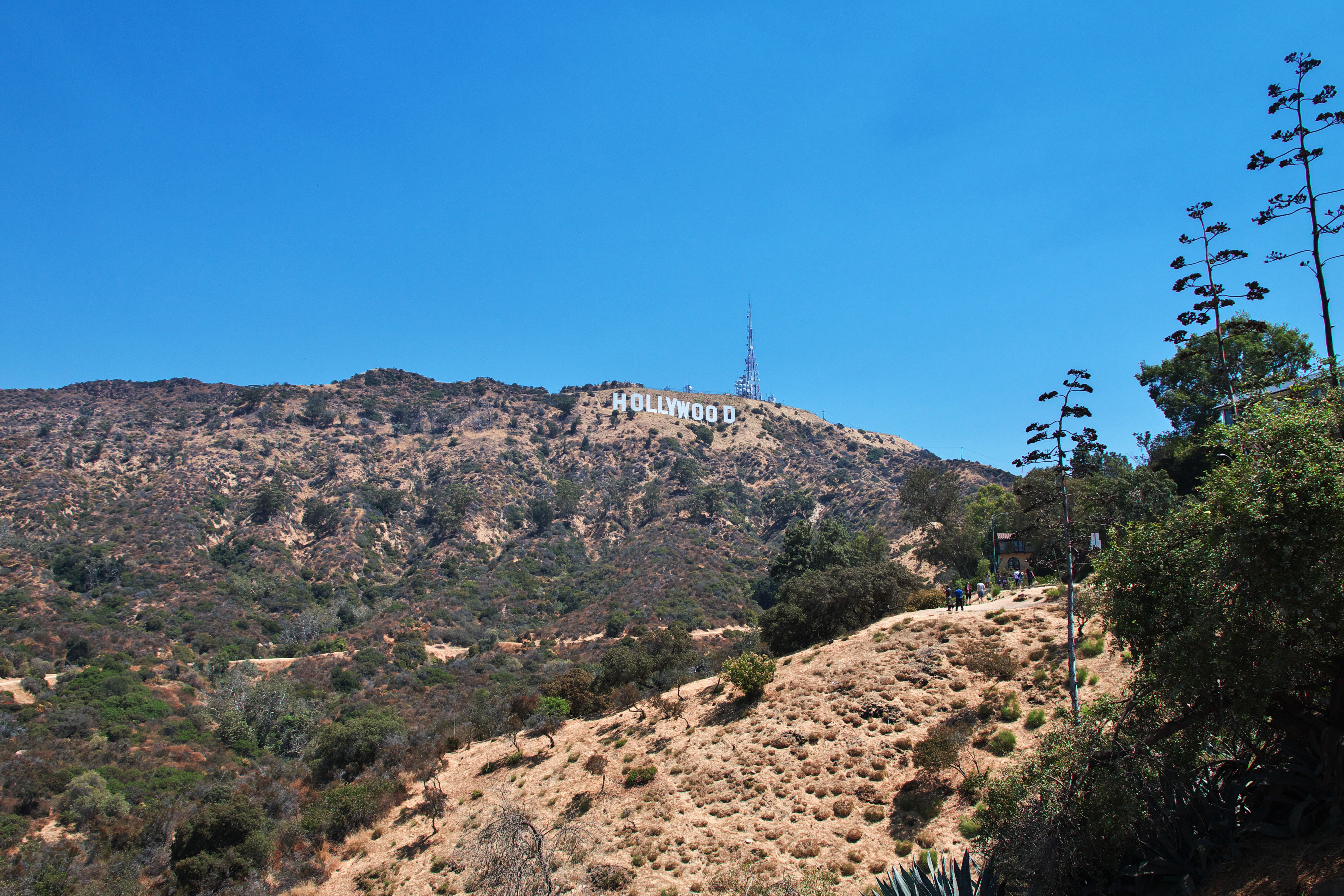 california filmmakers