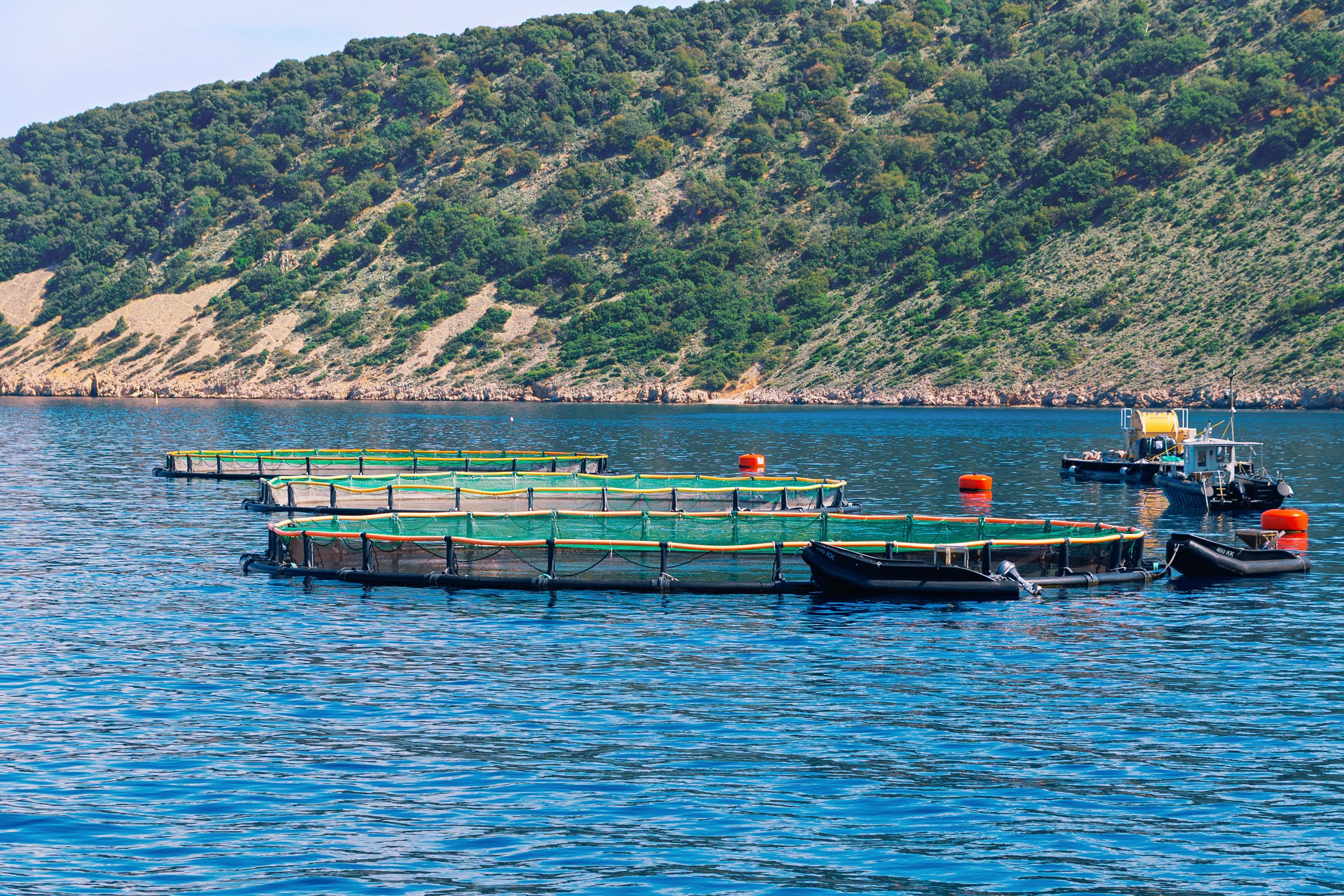 fish protection devices