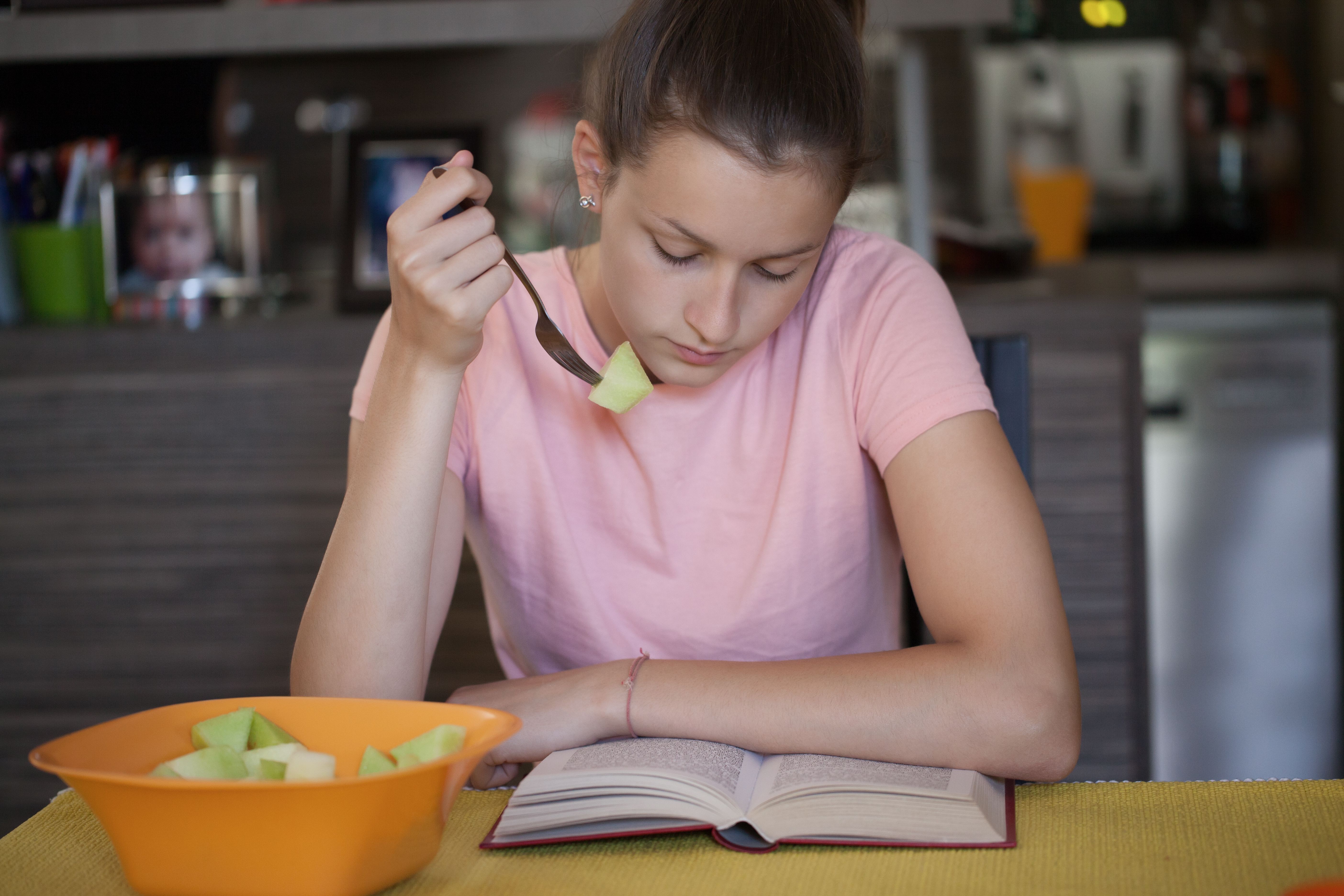 interior design pets