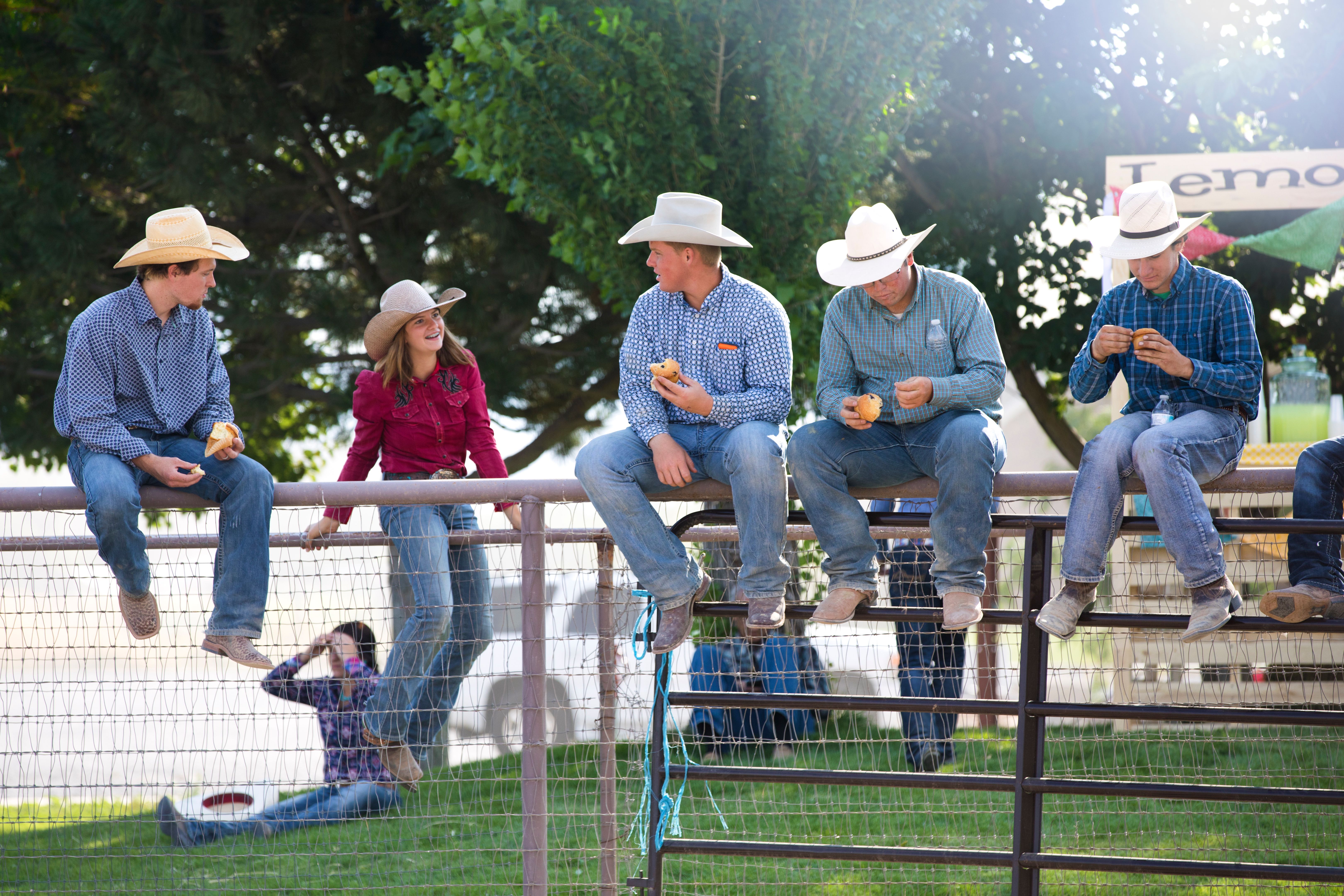 cowboy hat materials
