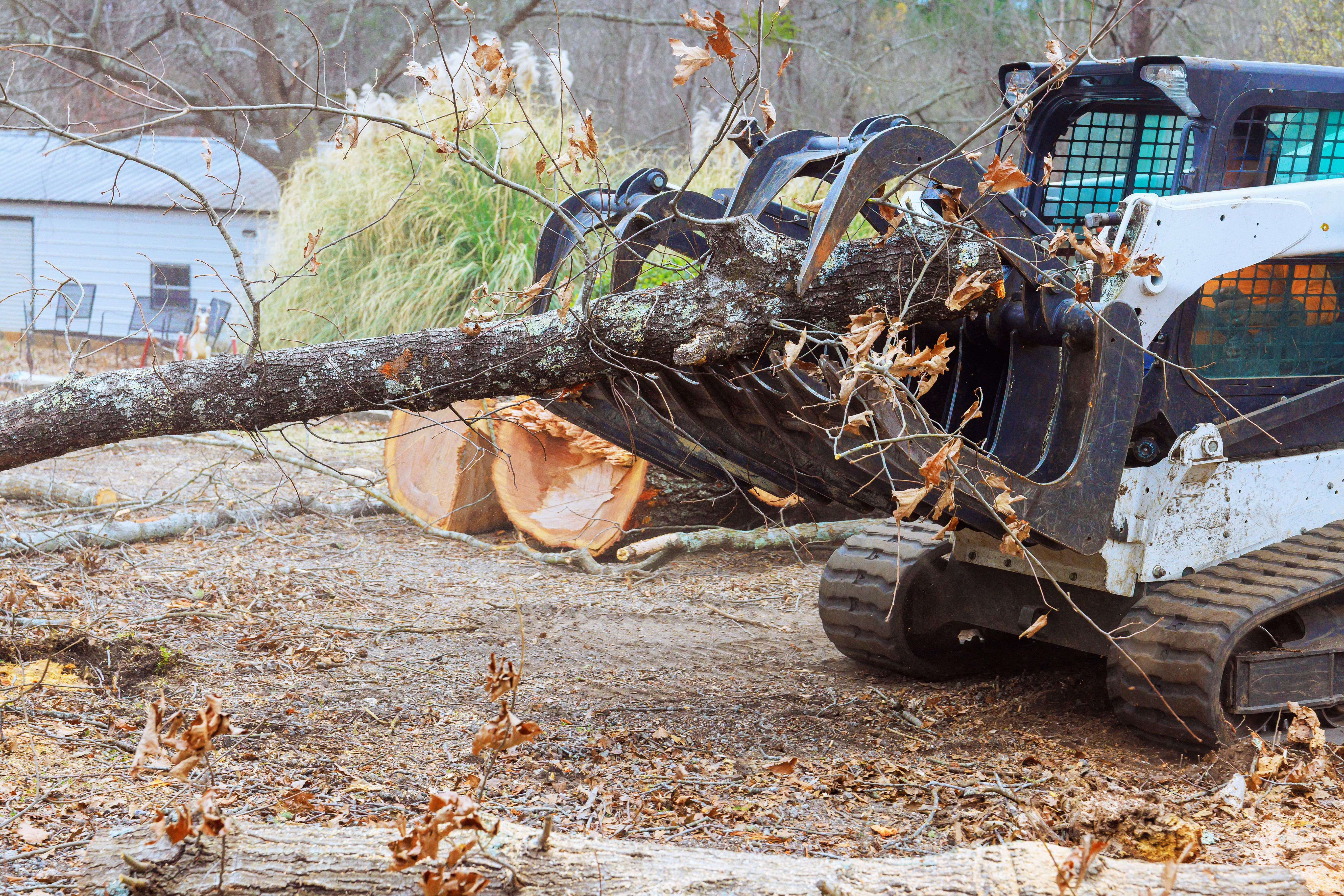 skid steer loader