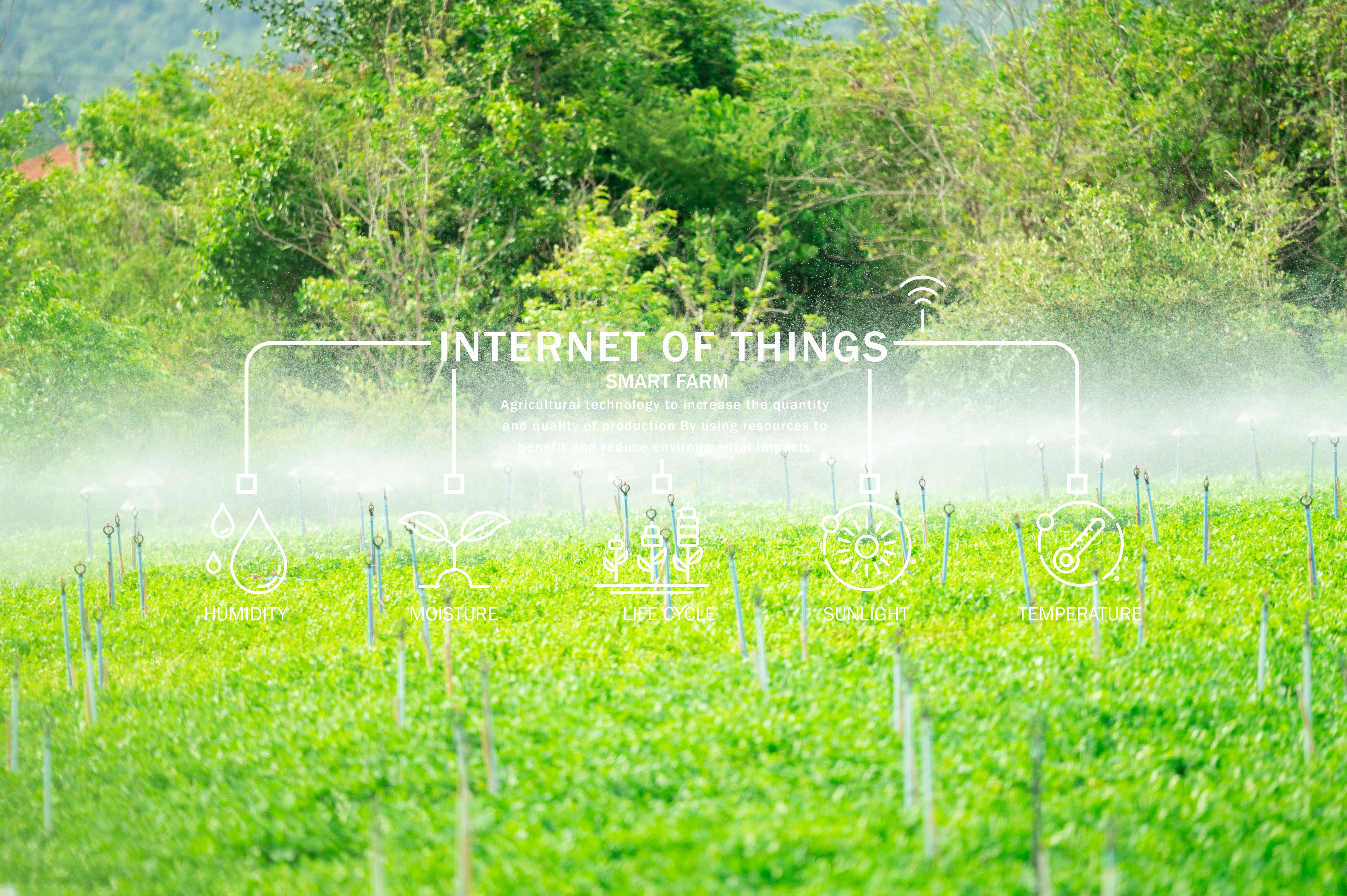smart irrigation