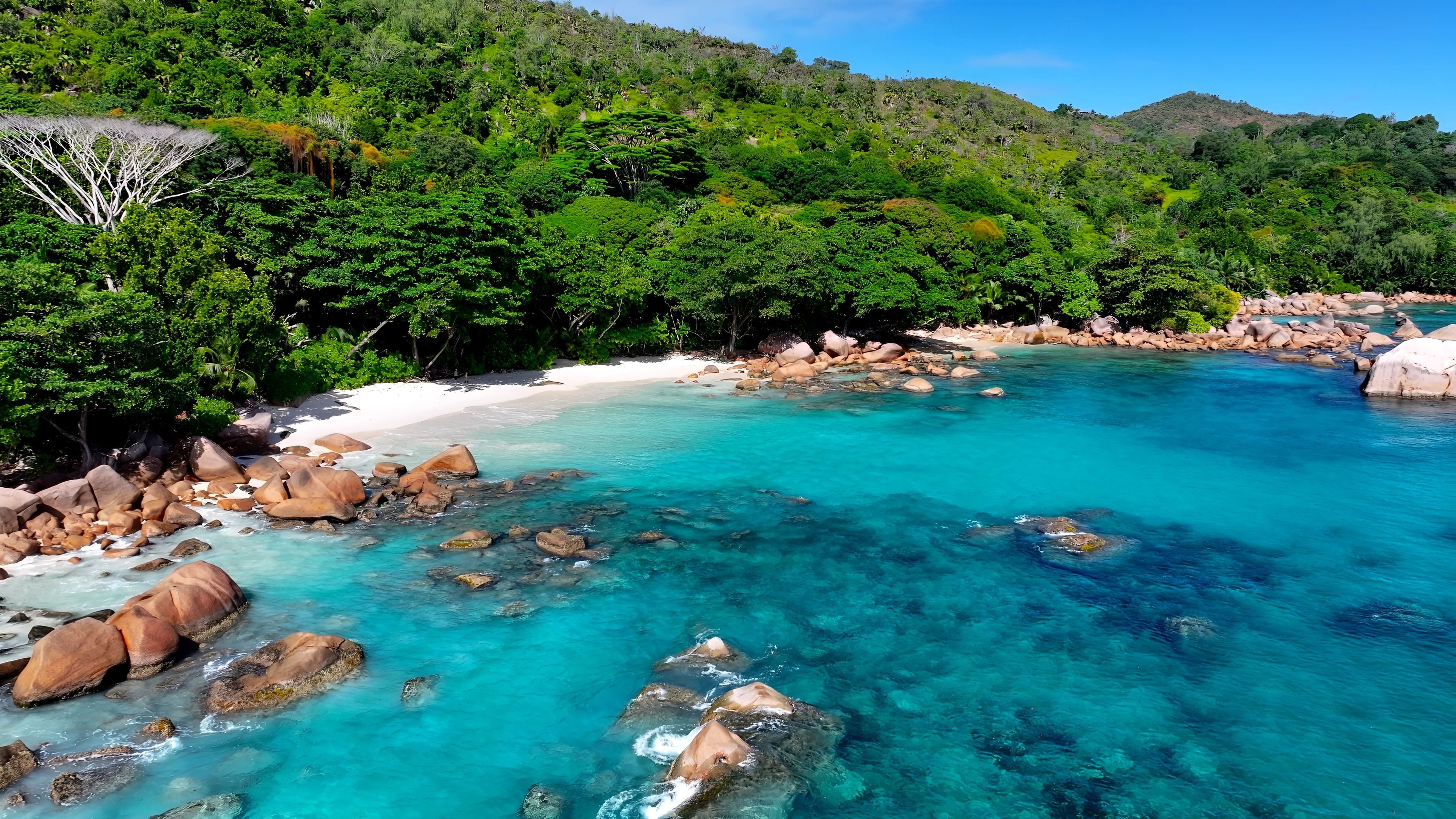 seychelles beach