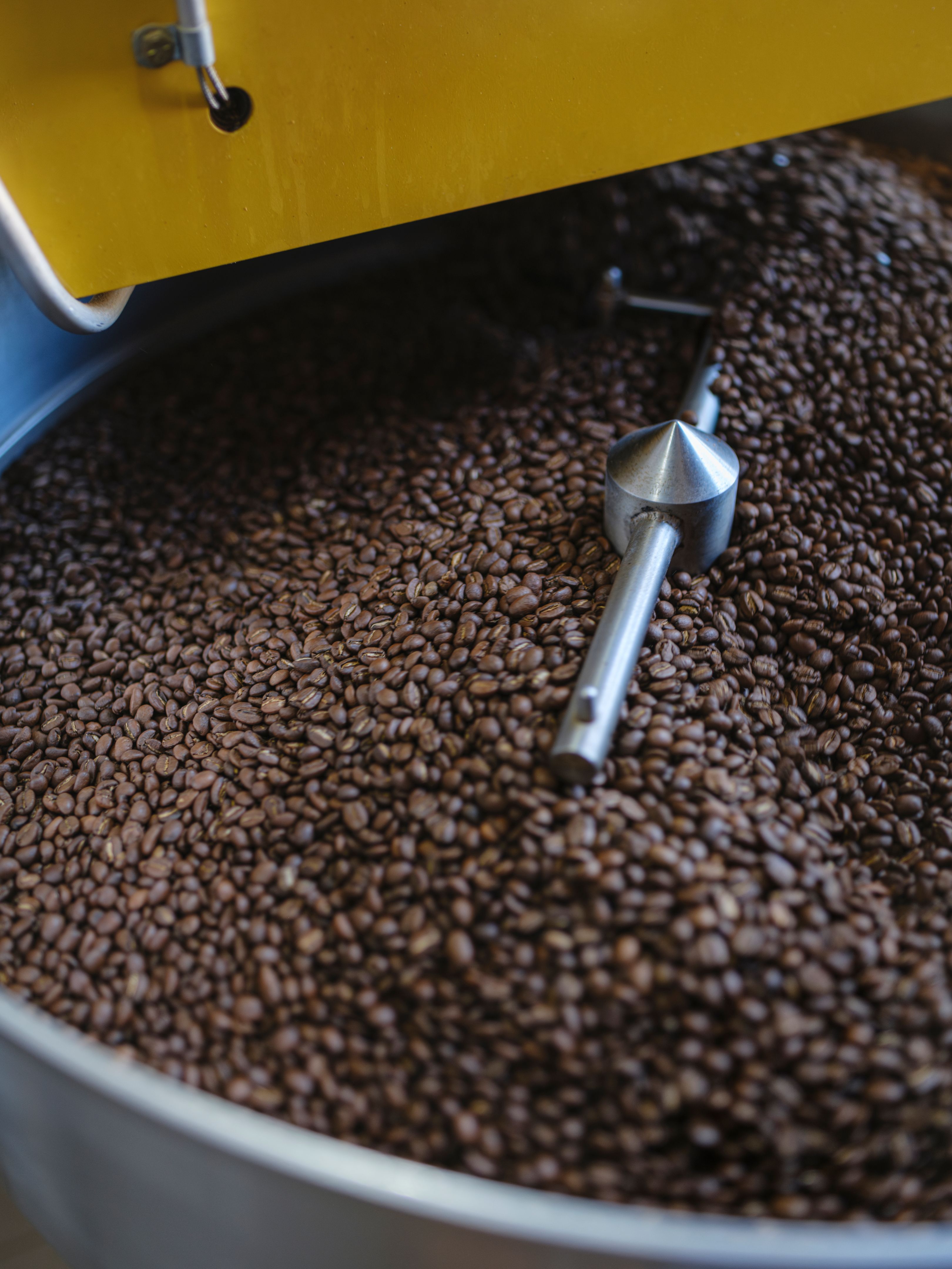 coffee processing