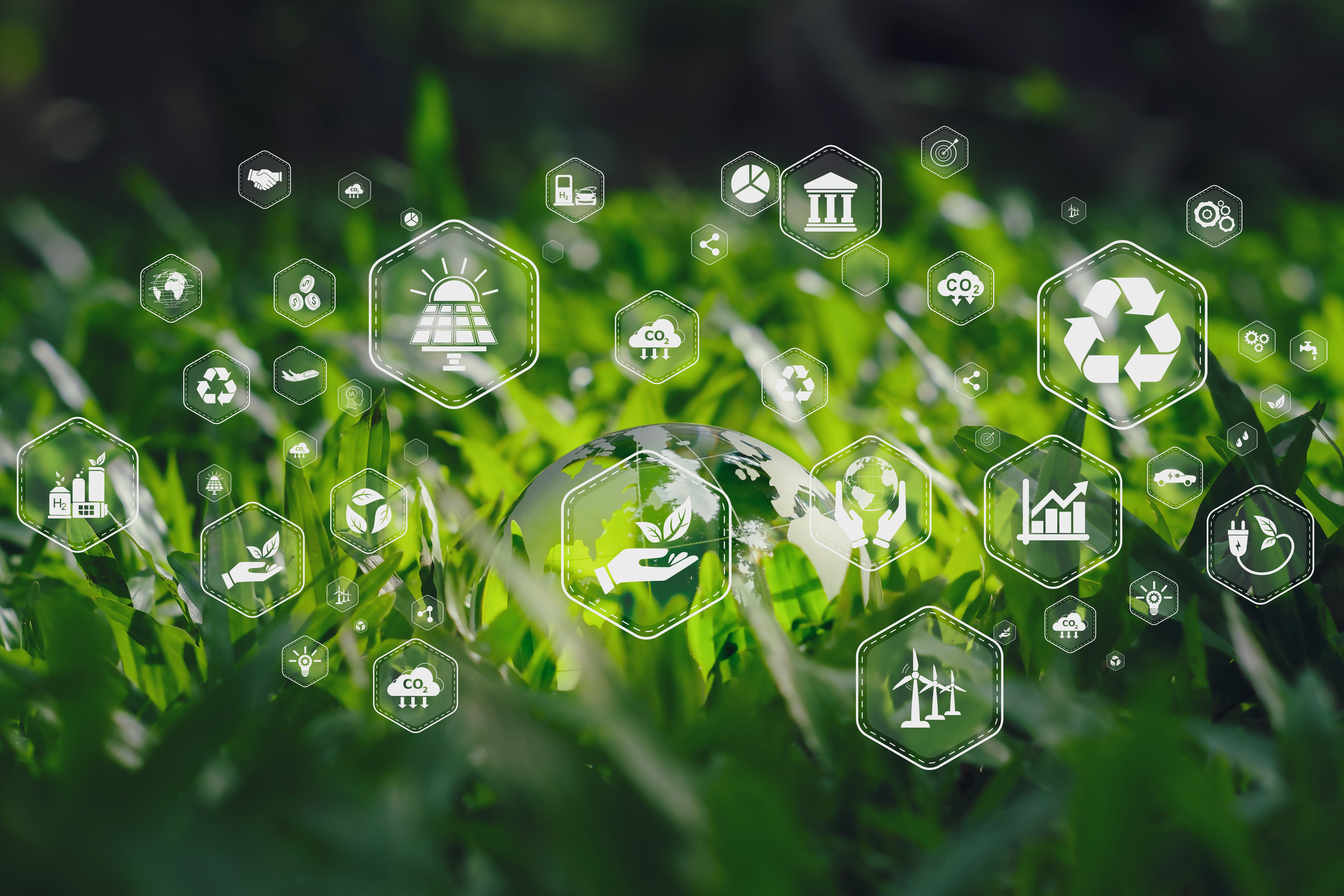 sustainable business