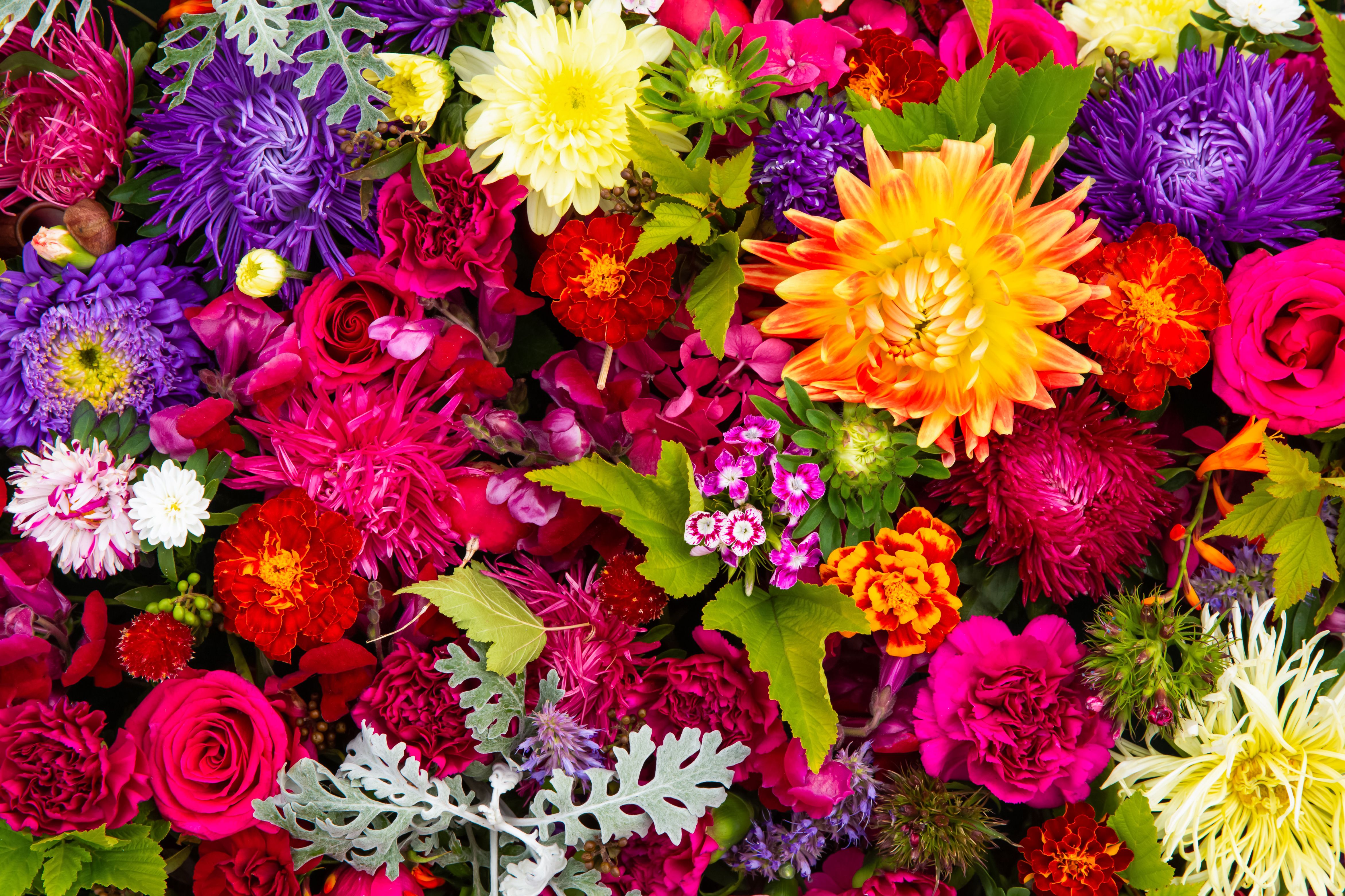 floral market