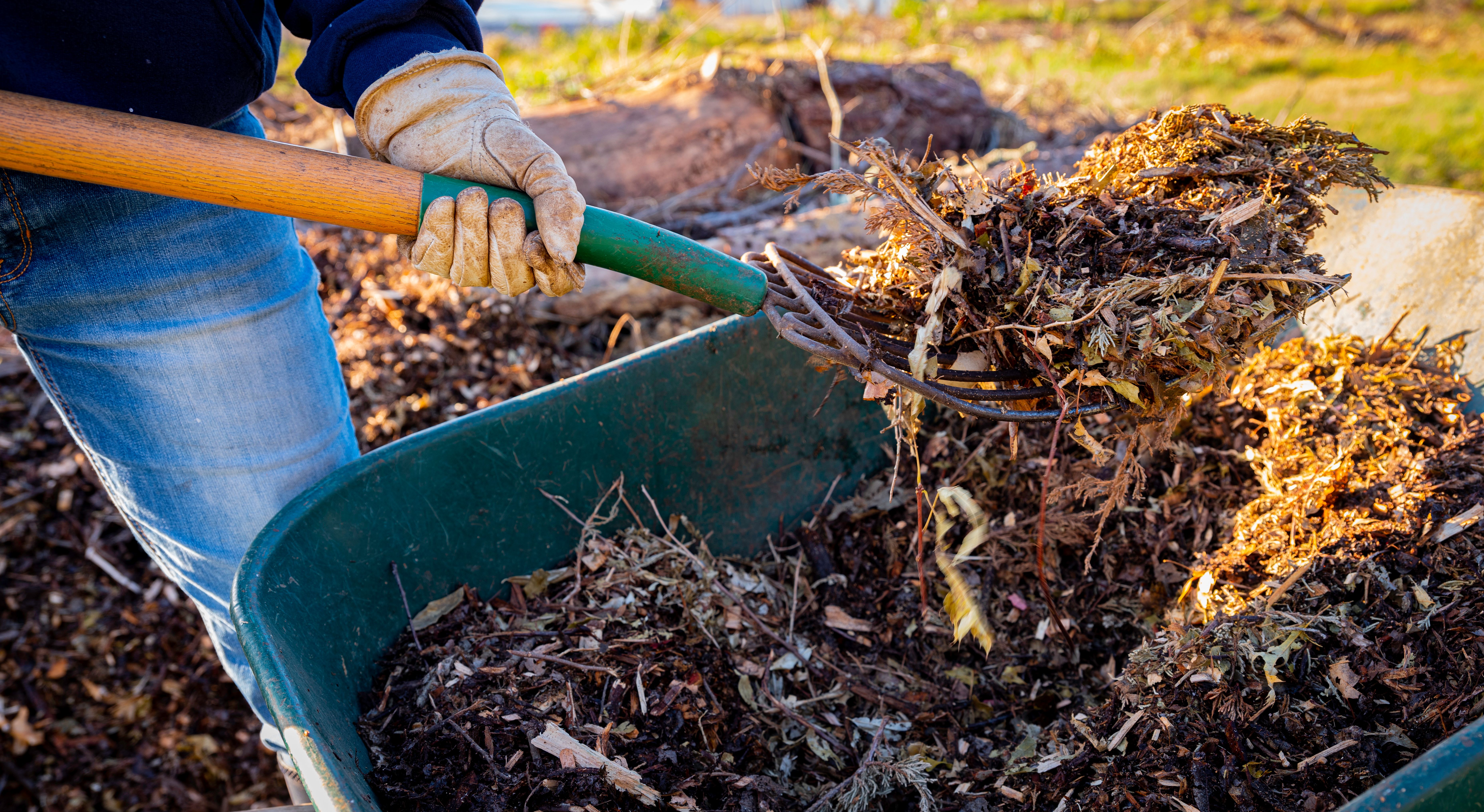 sustainable gardening