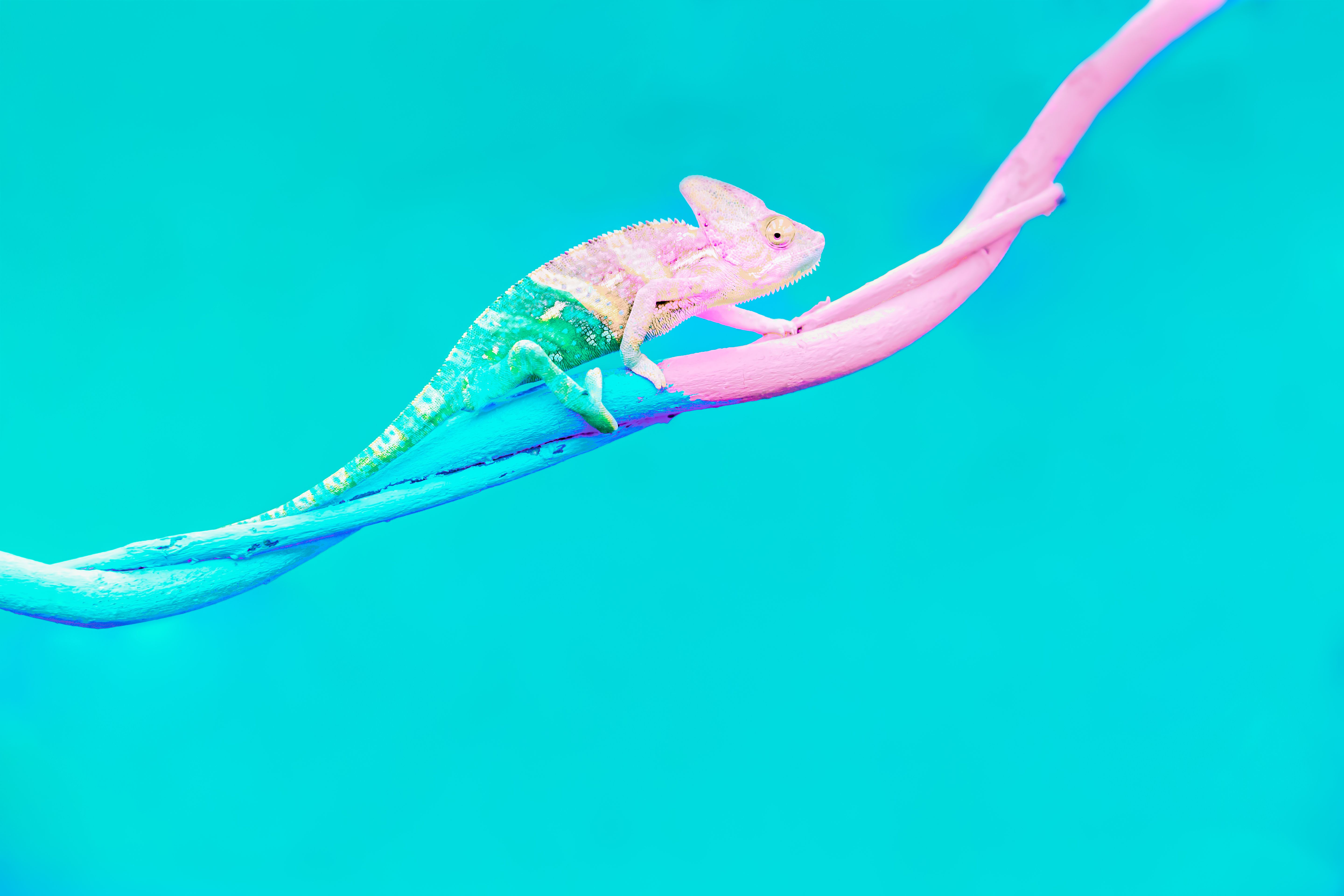 venue transformation