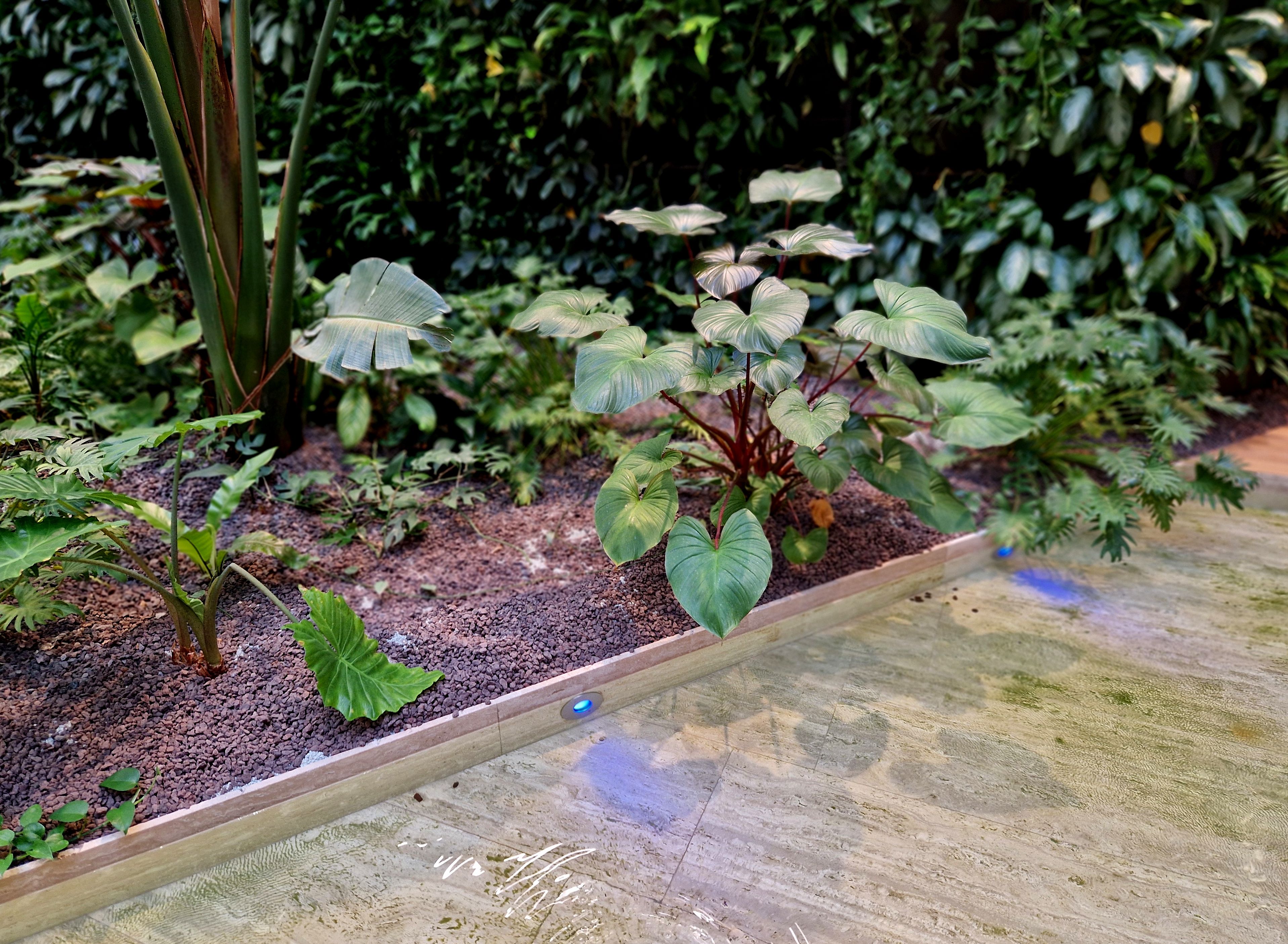 uv water purification