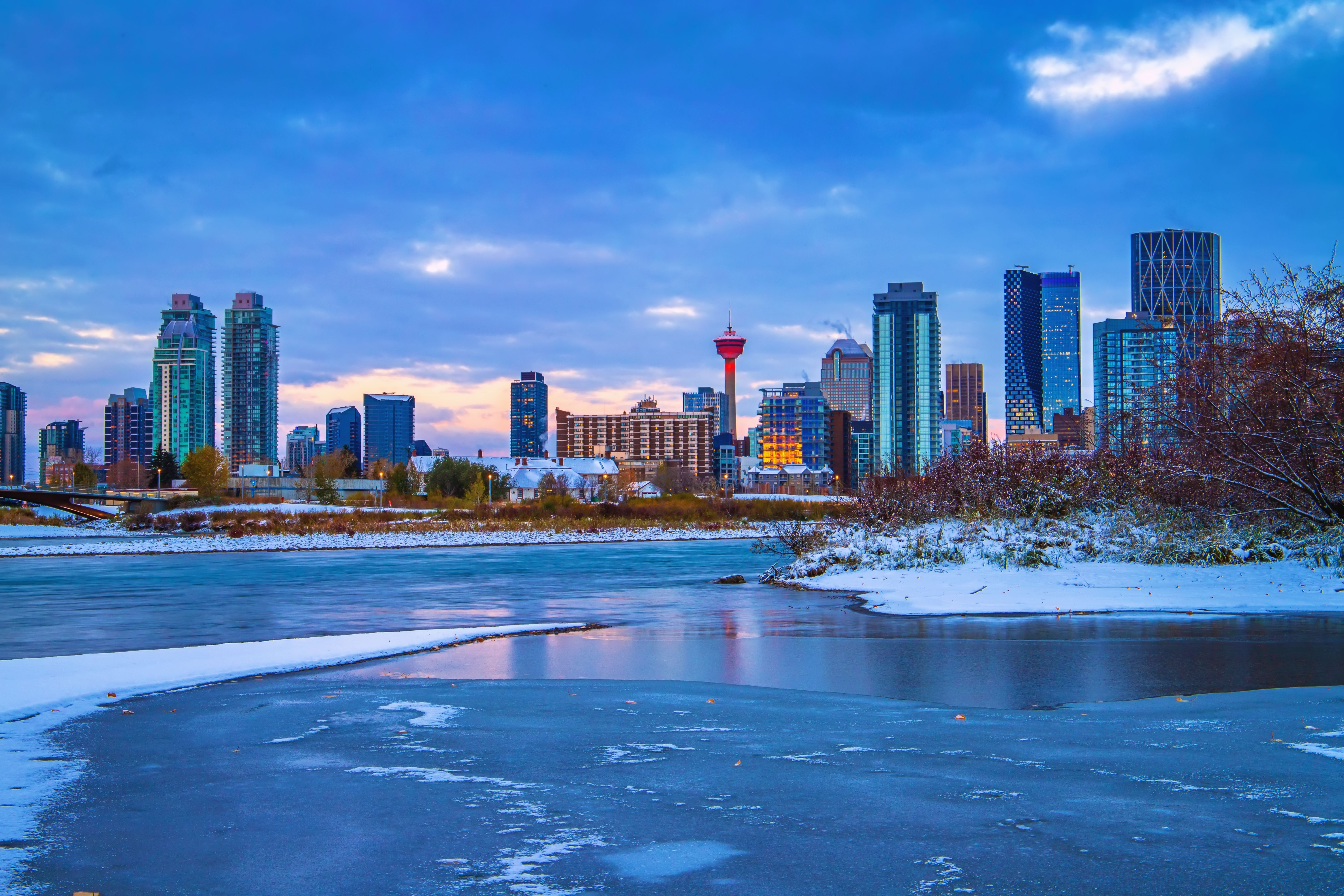 calgary winter office