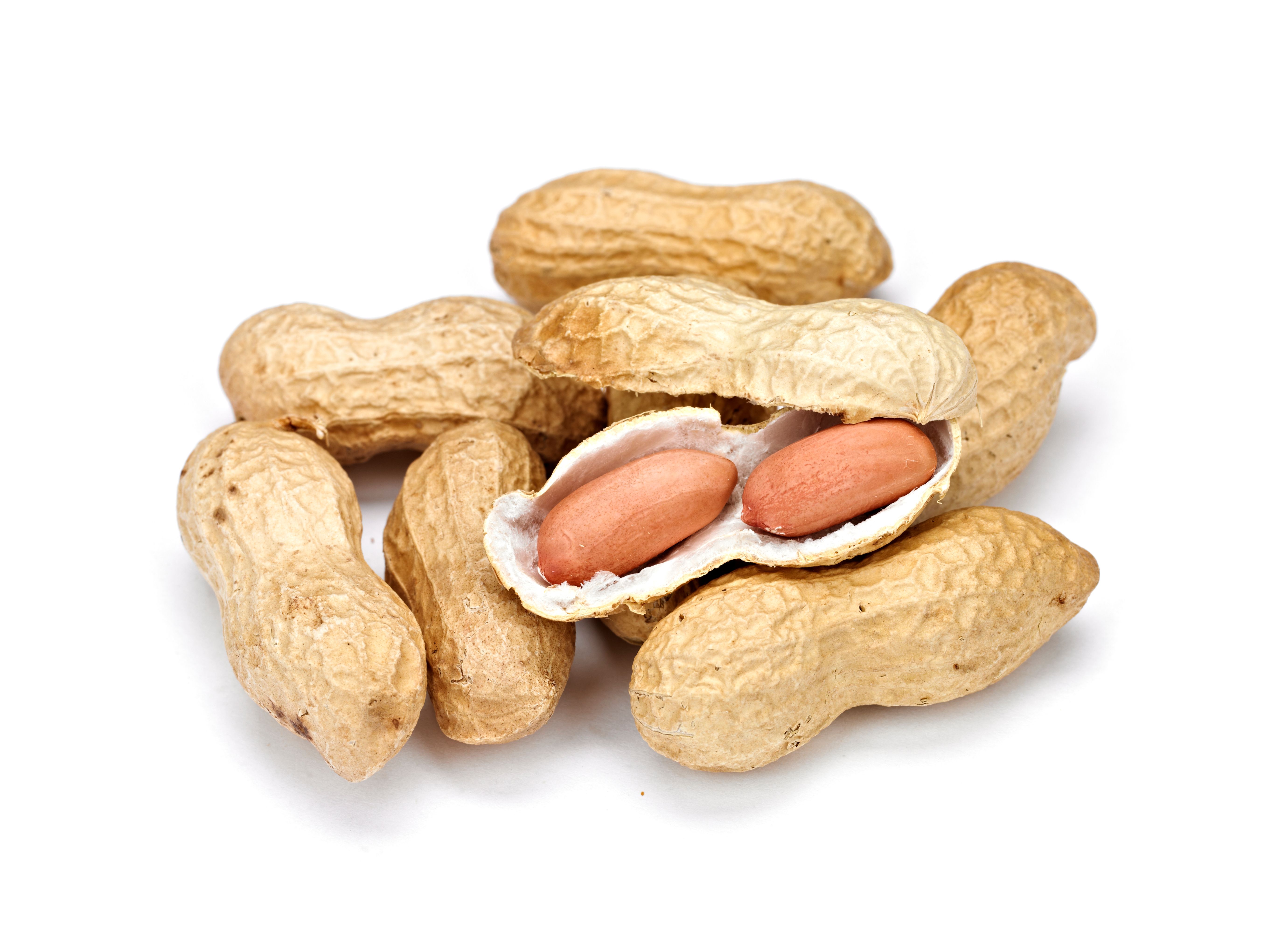 peanuts in shell