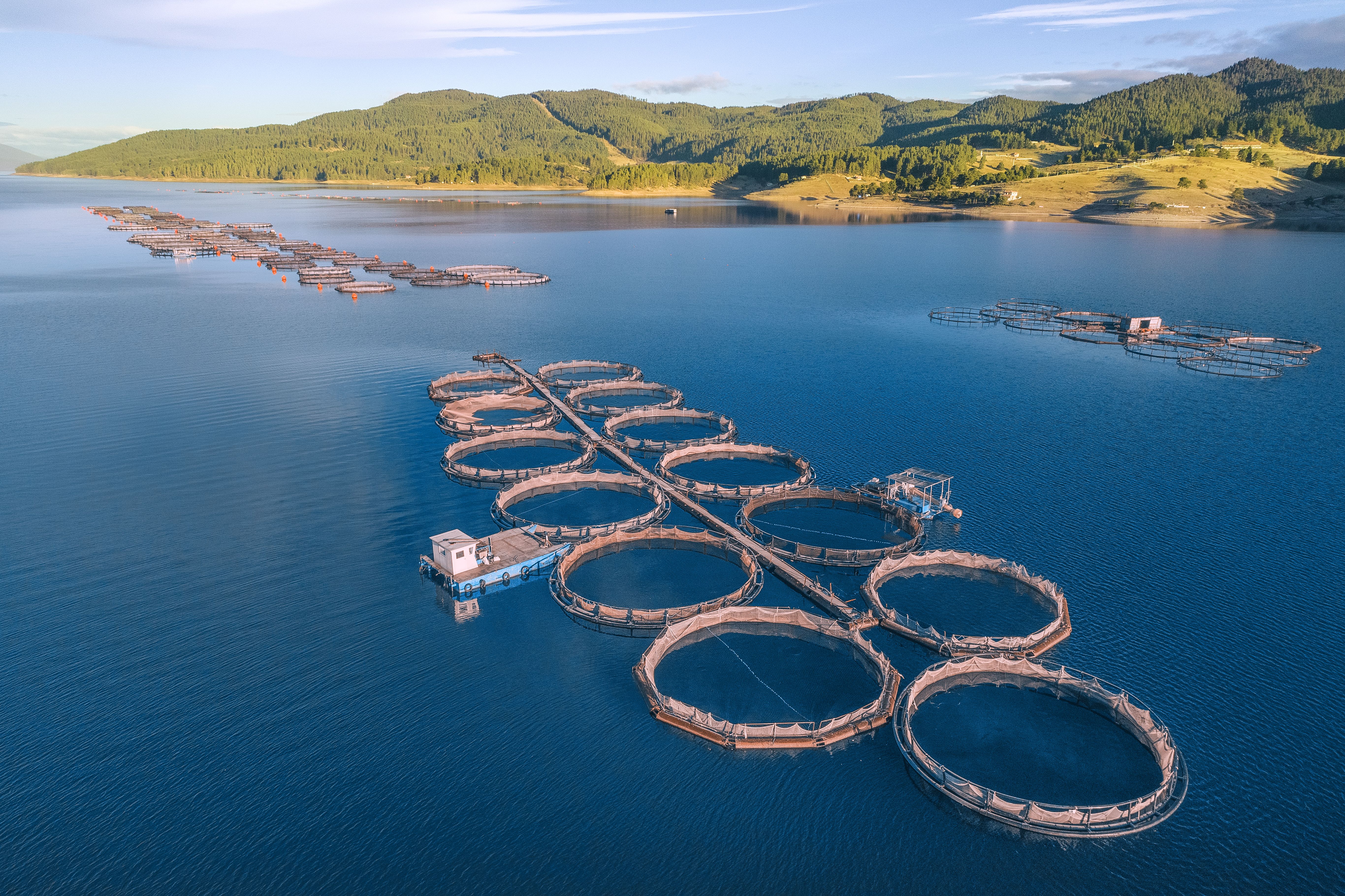 sustainable fishing
