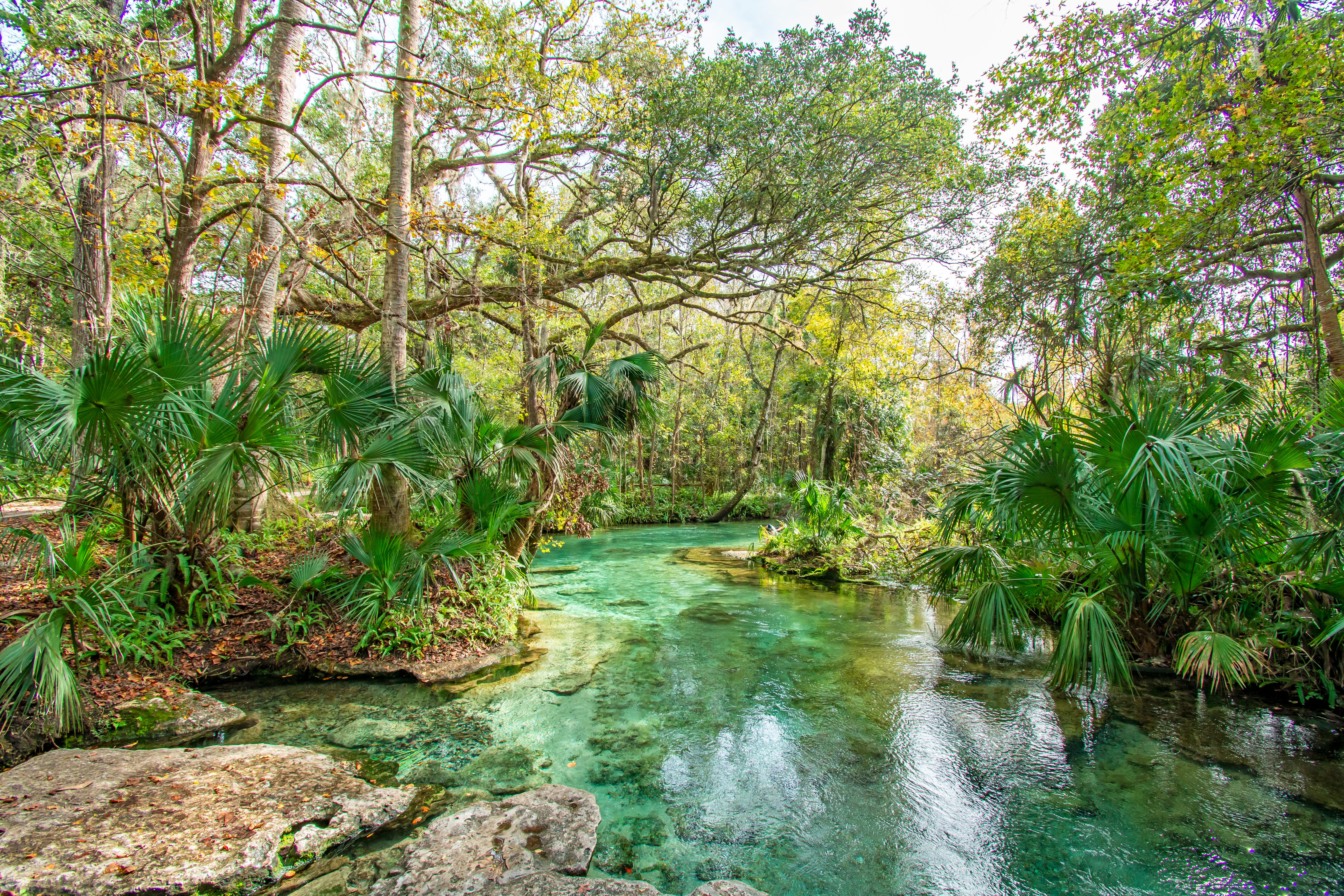 orlando nature