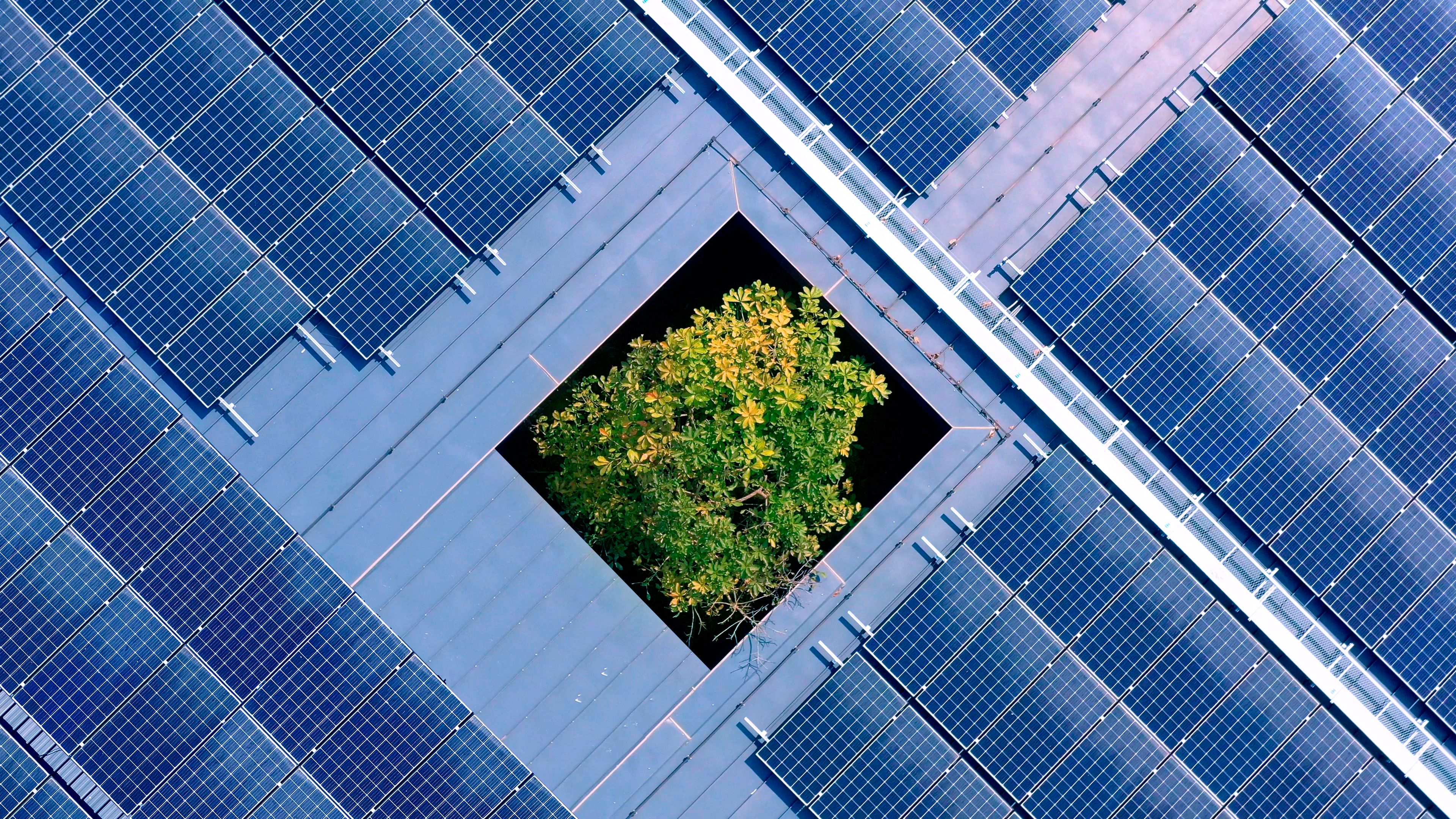 sustainable steel