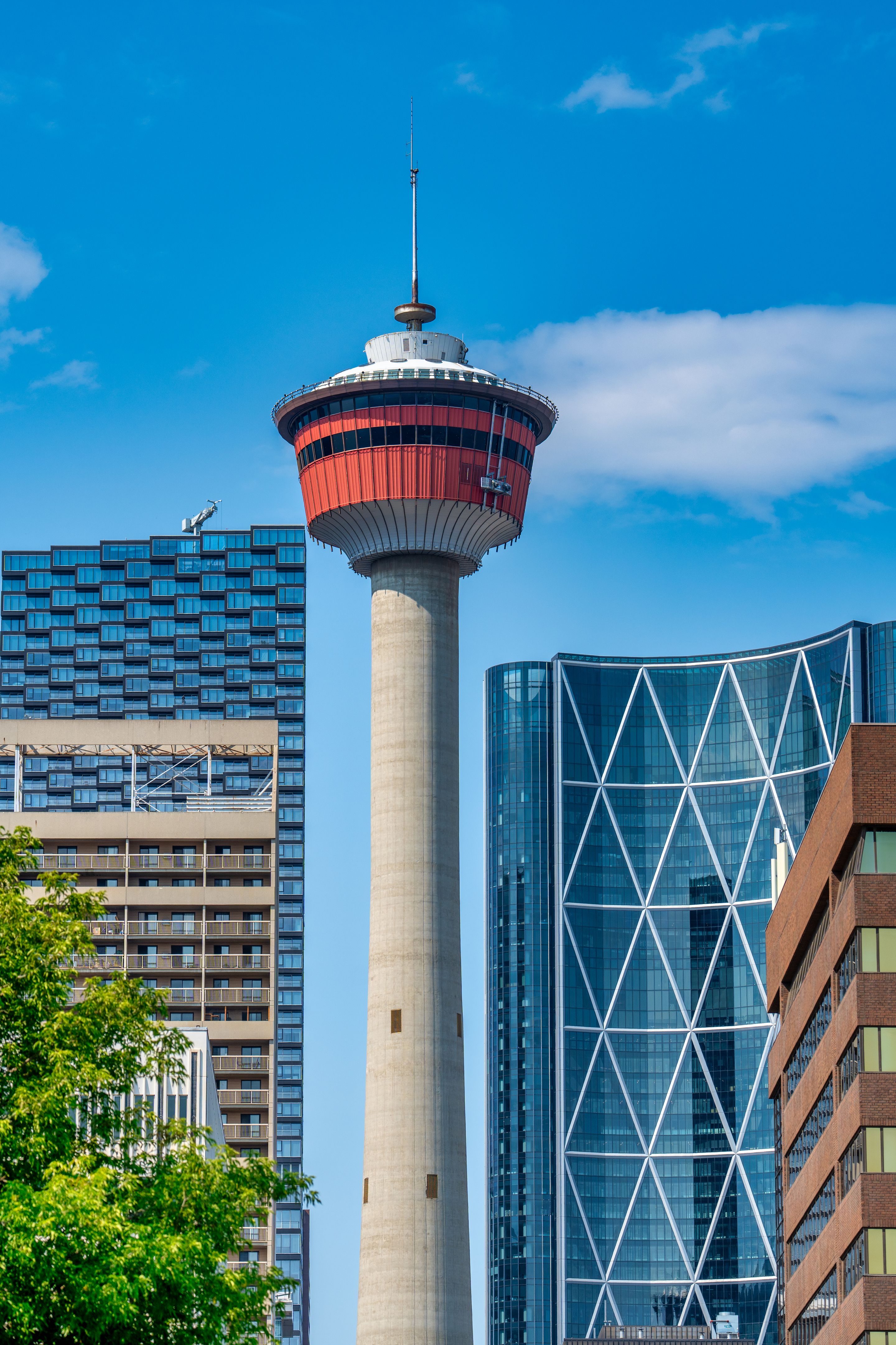 calgary summer office