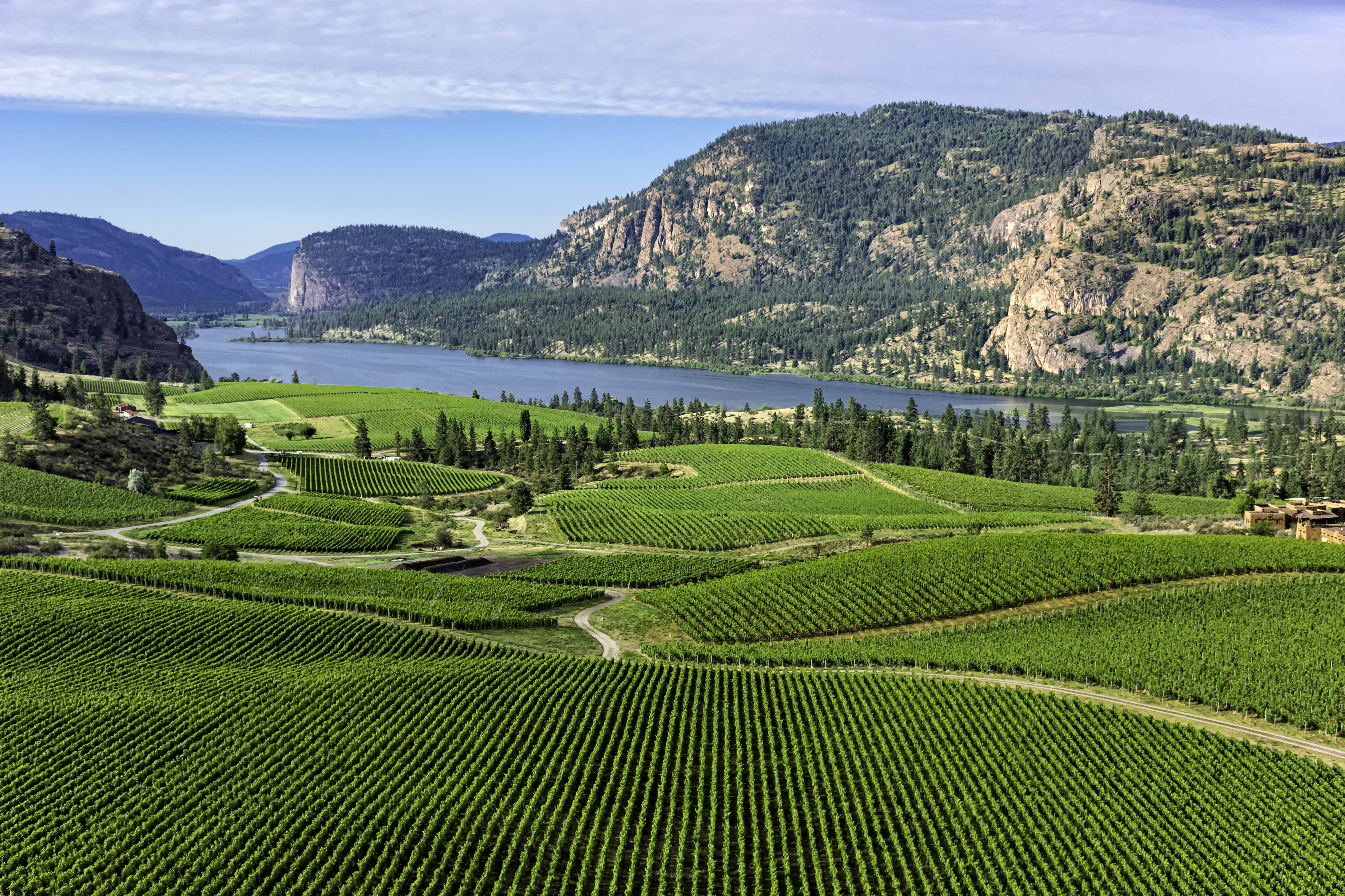 kelowna landscape