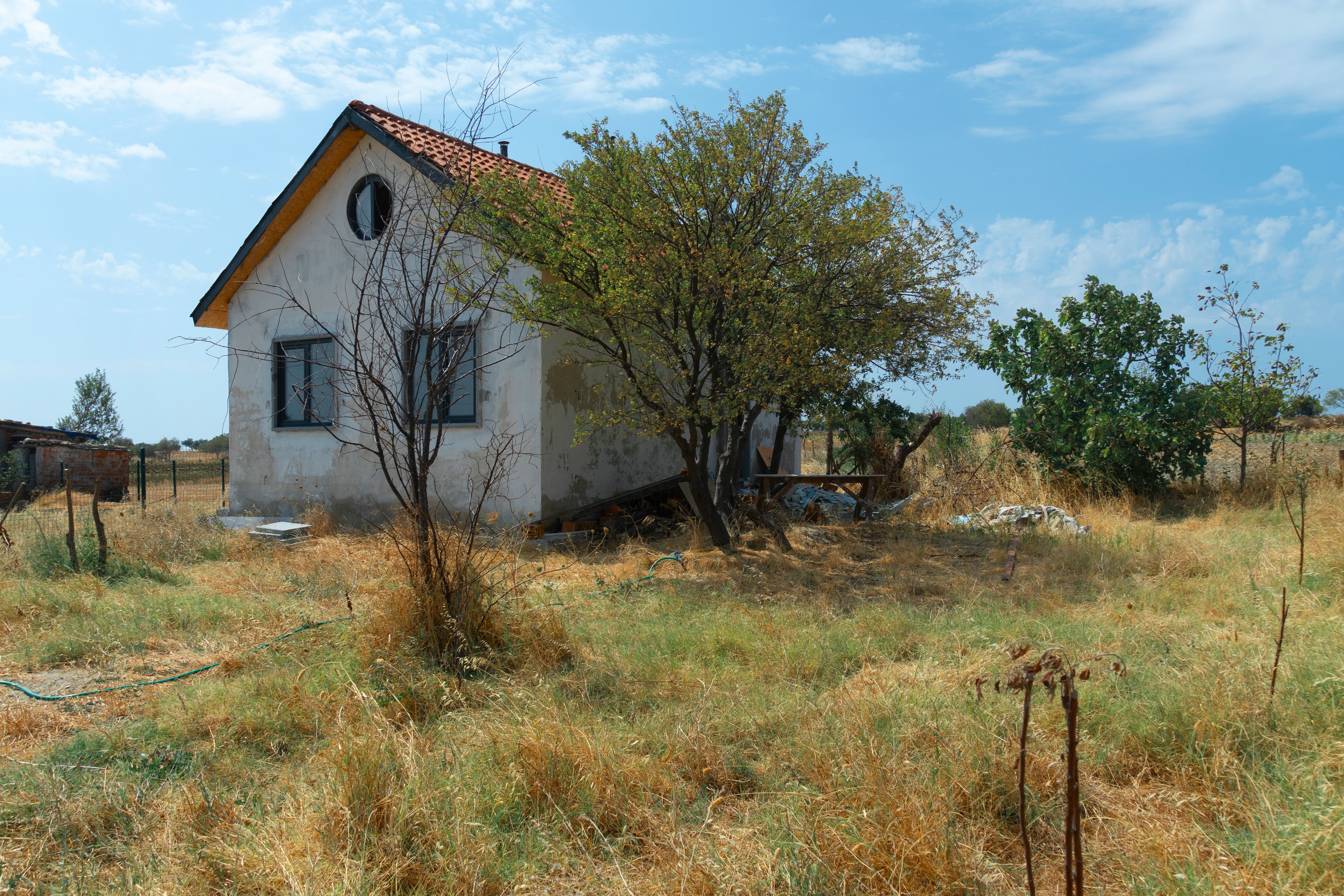 neglected yard
