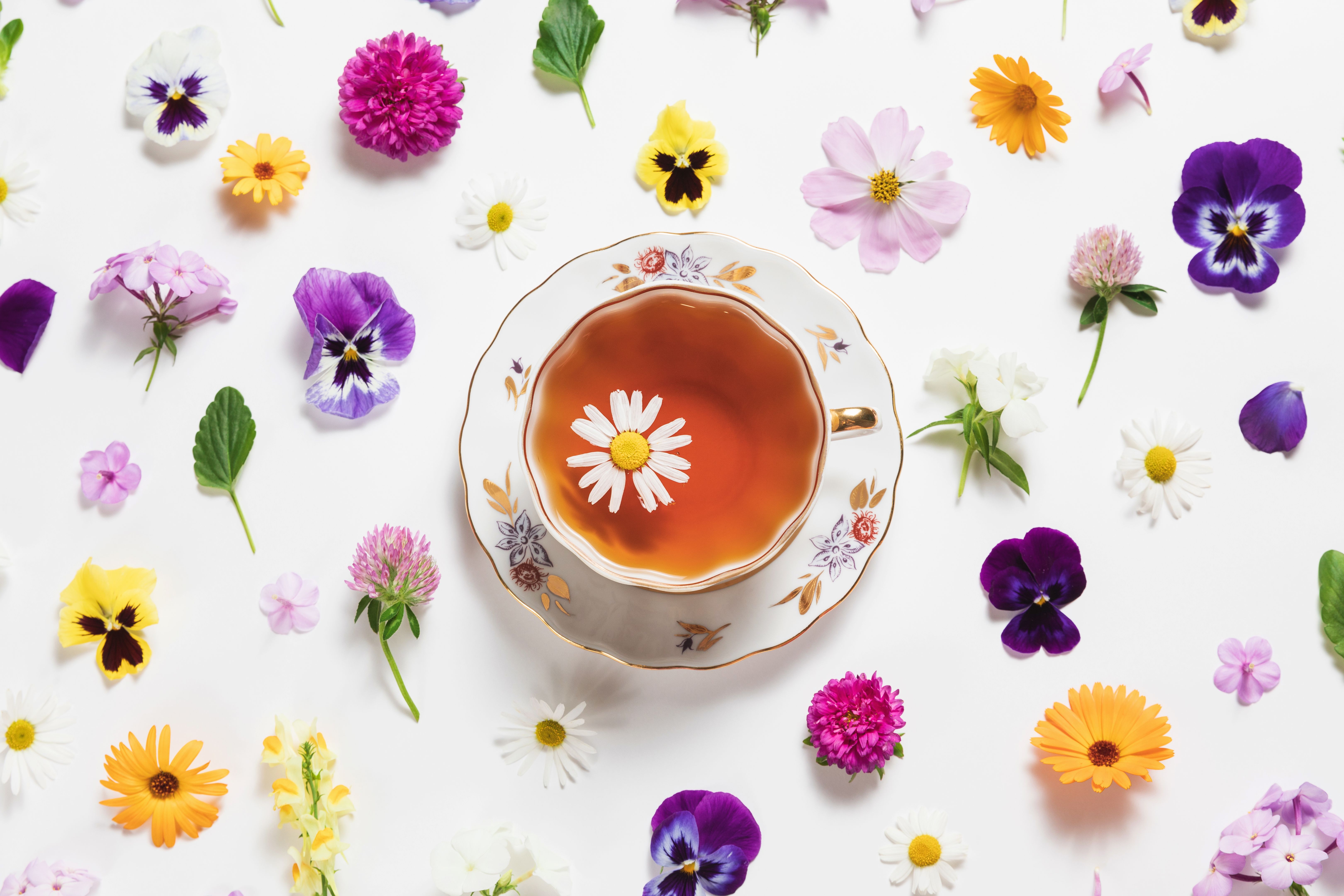 spring herbal tea