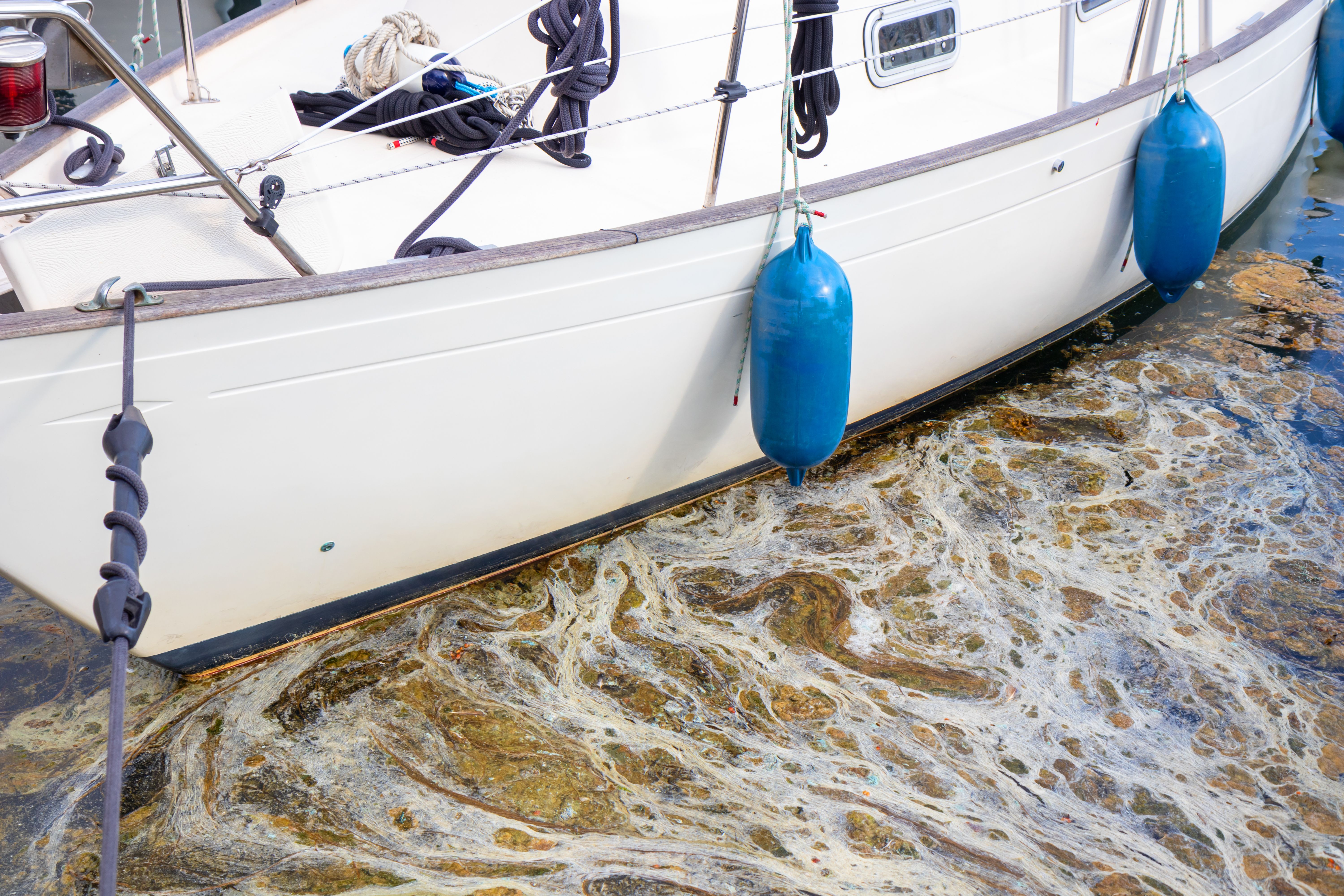 eco friendly boat cleaning
