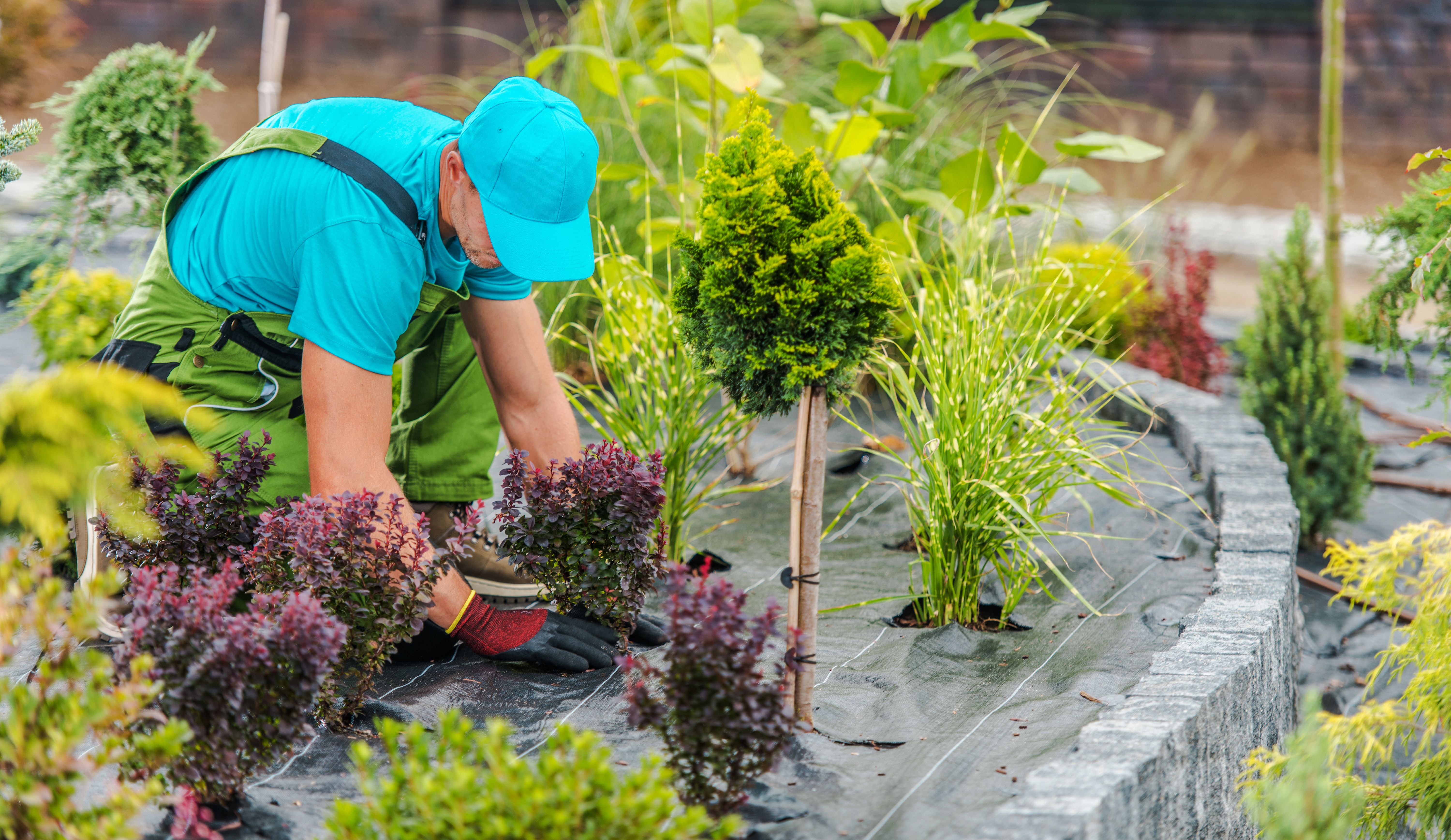 landscape maintenance