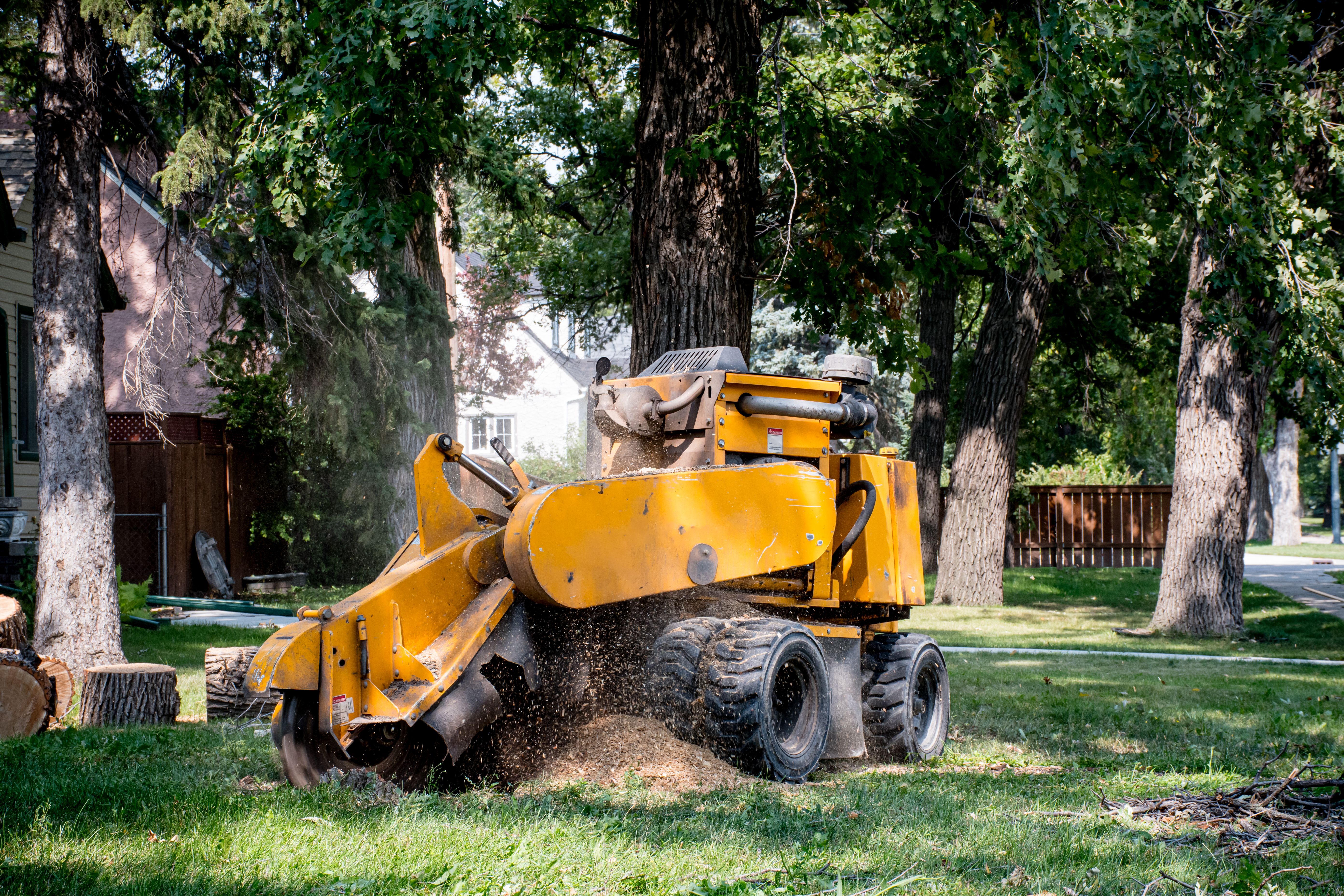 stump grinder