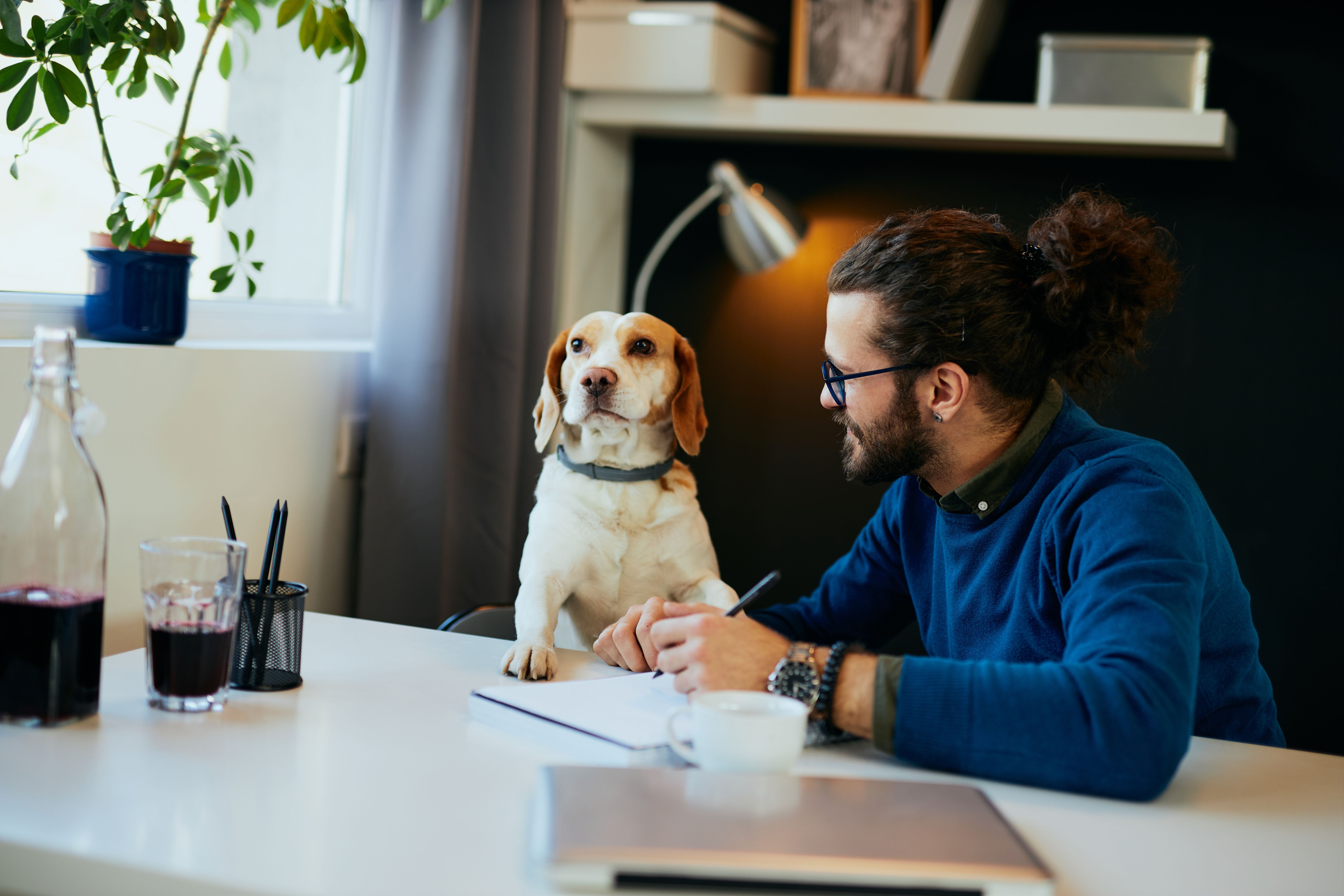 pet owner checking references
