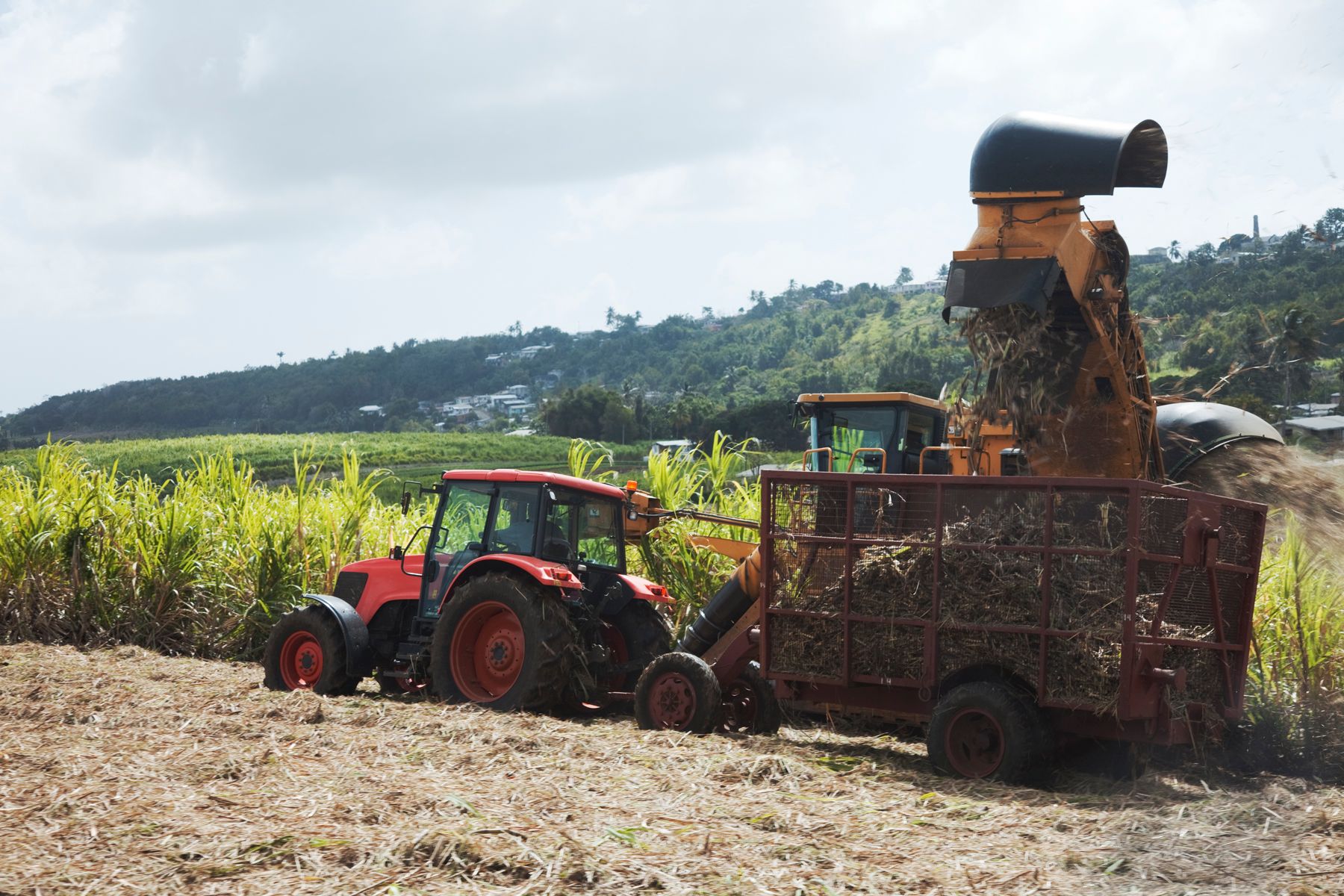 barbados agriculture