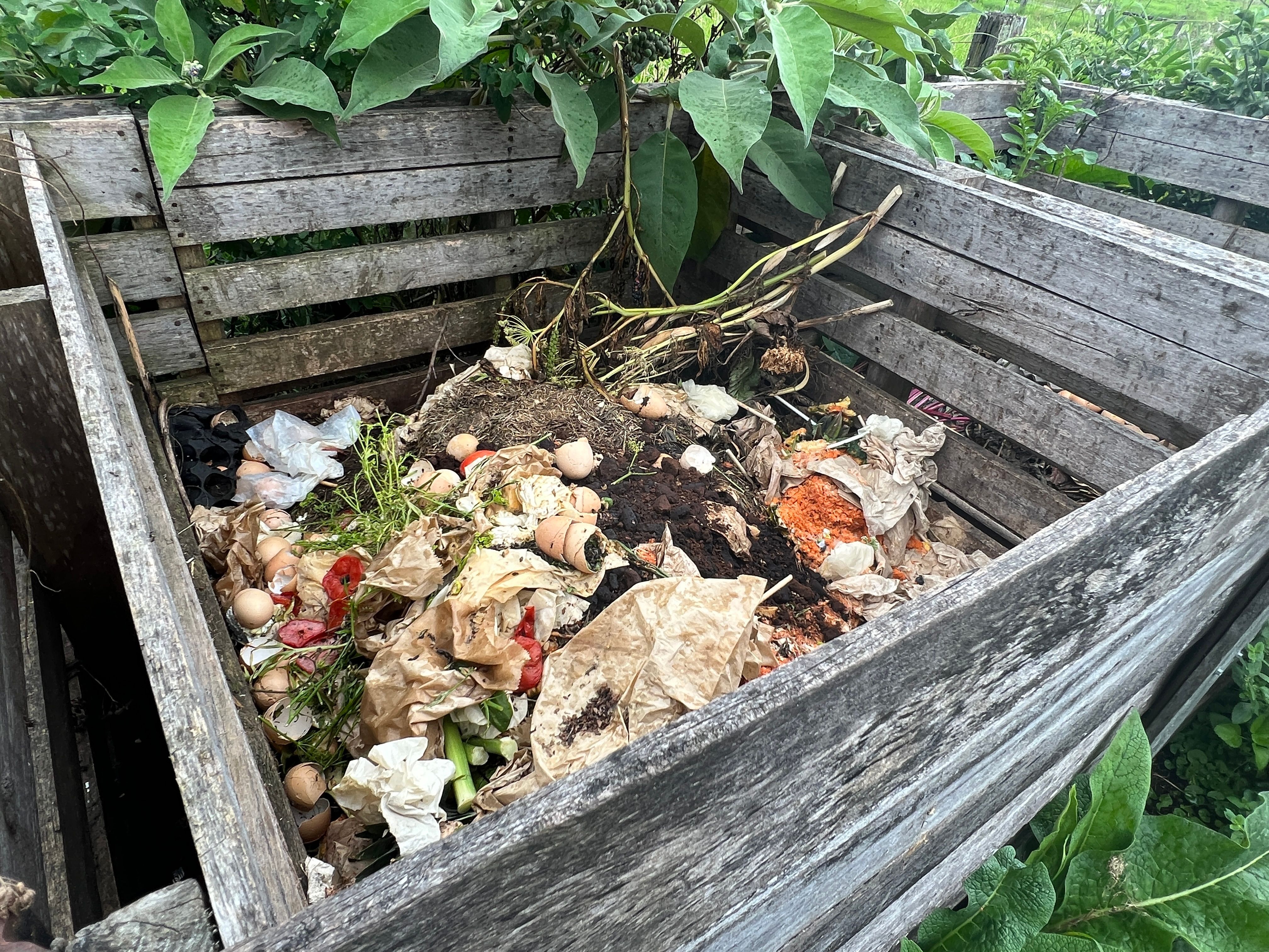 composting garden