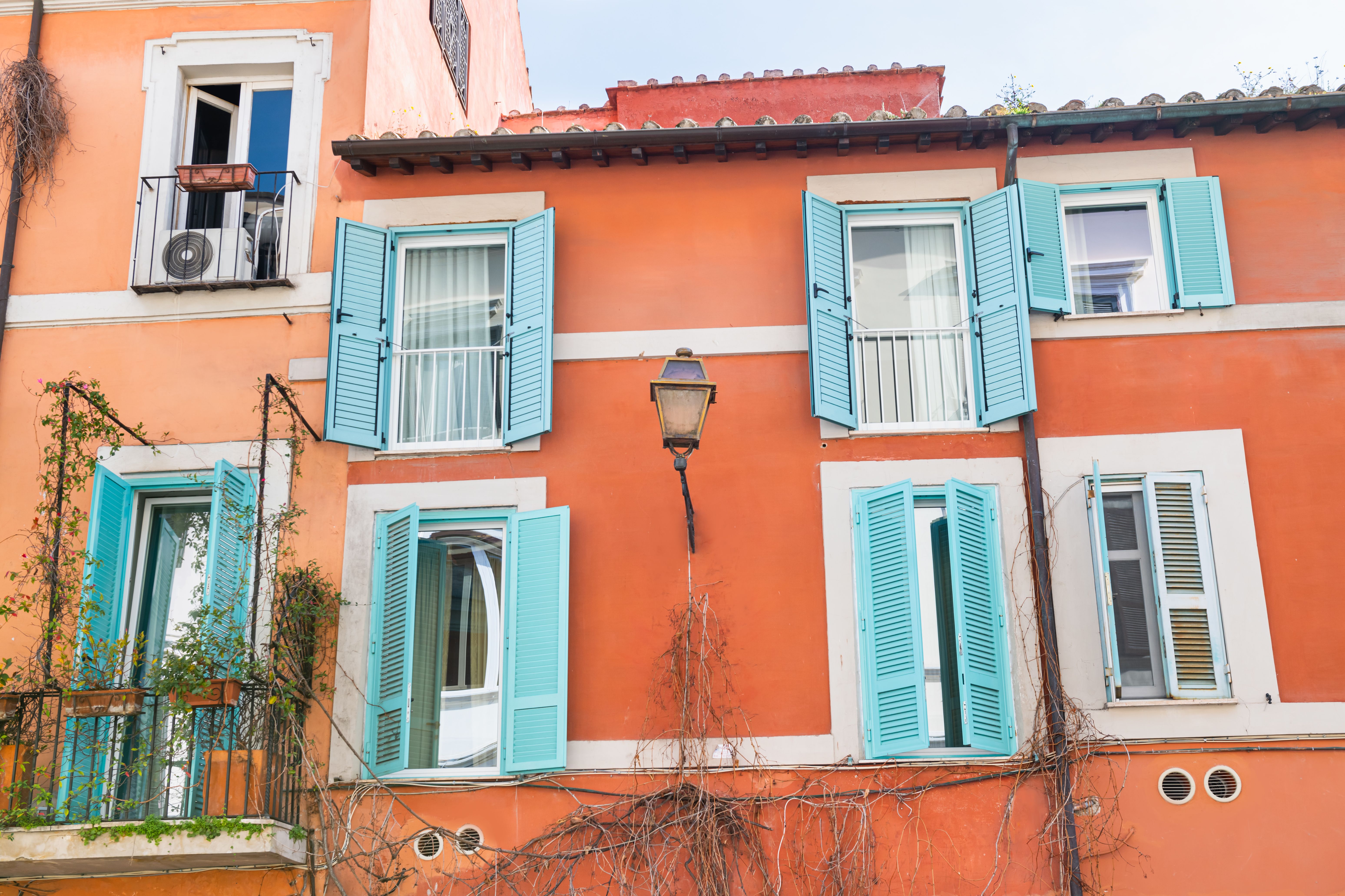 trastevere holiday lights