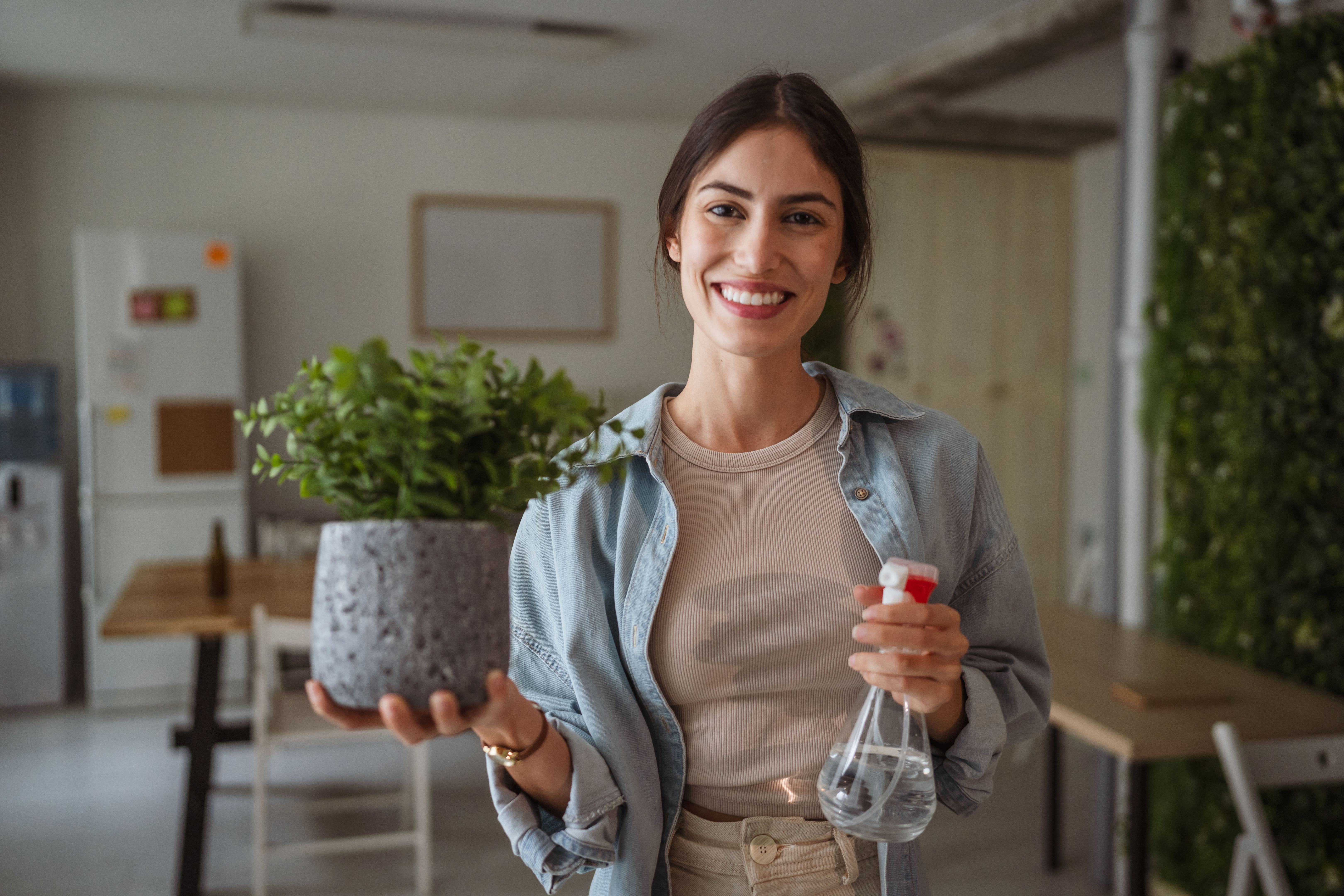watering office plants