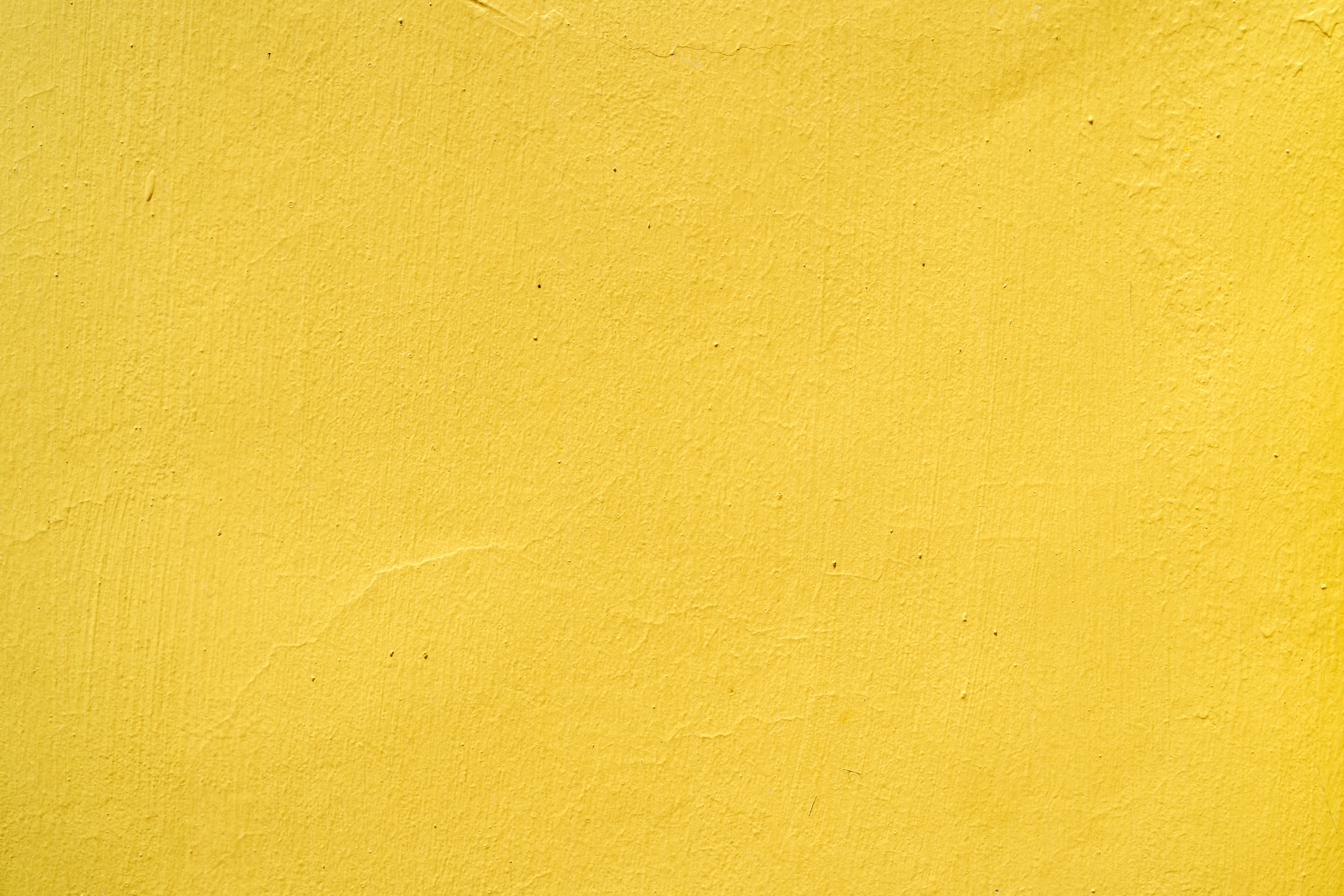 smooth wall painting