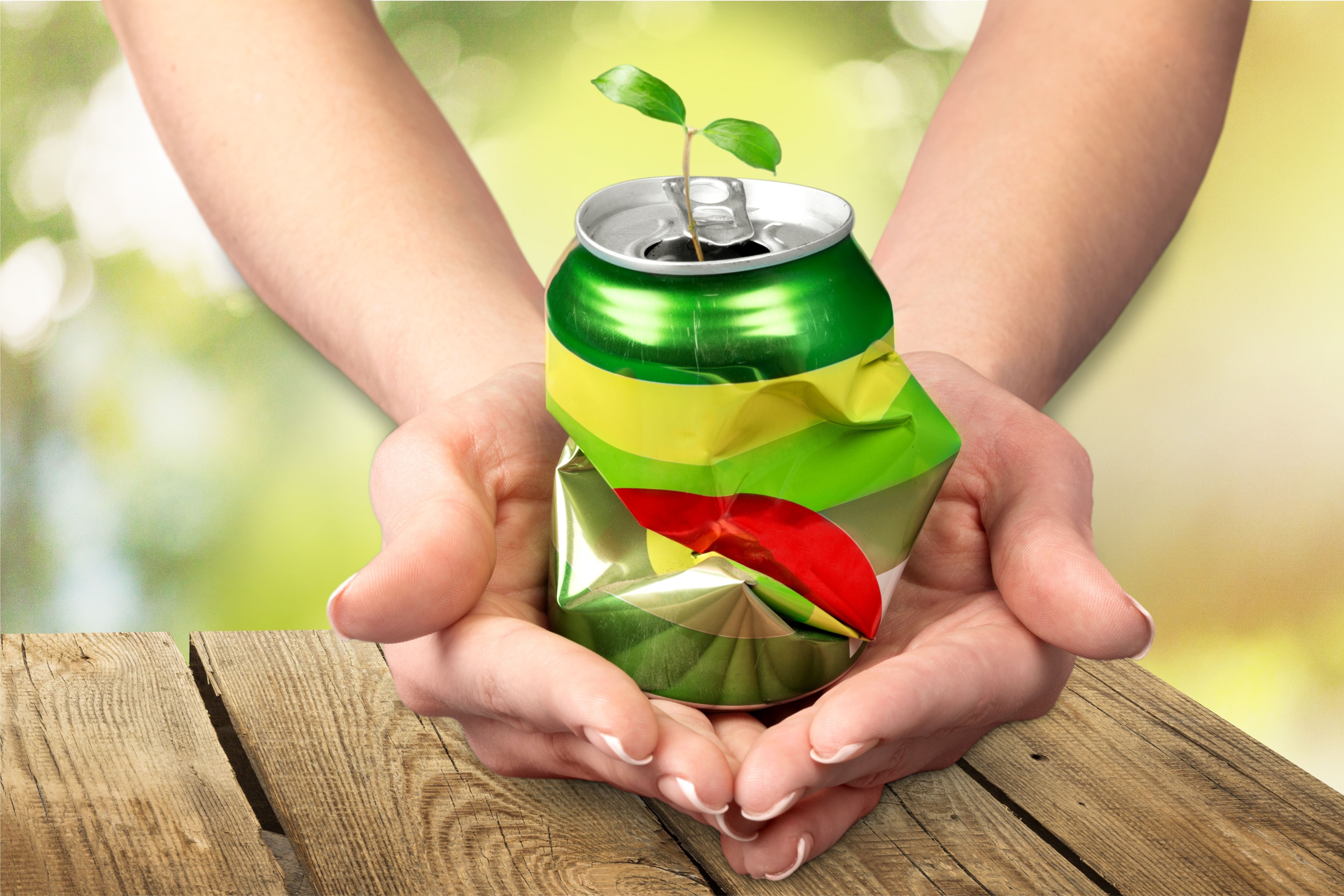 refrigerante ecologia