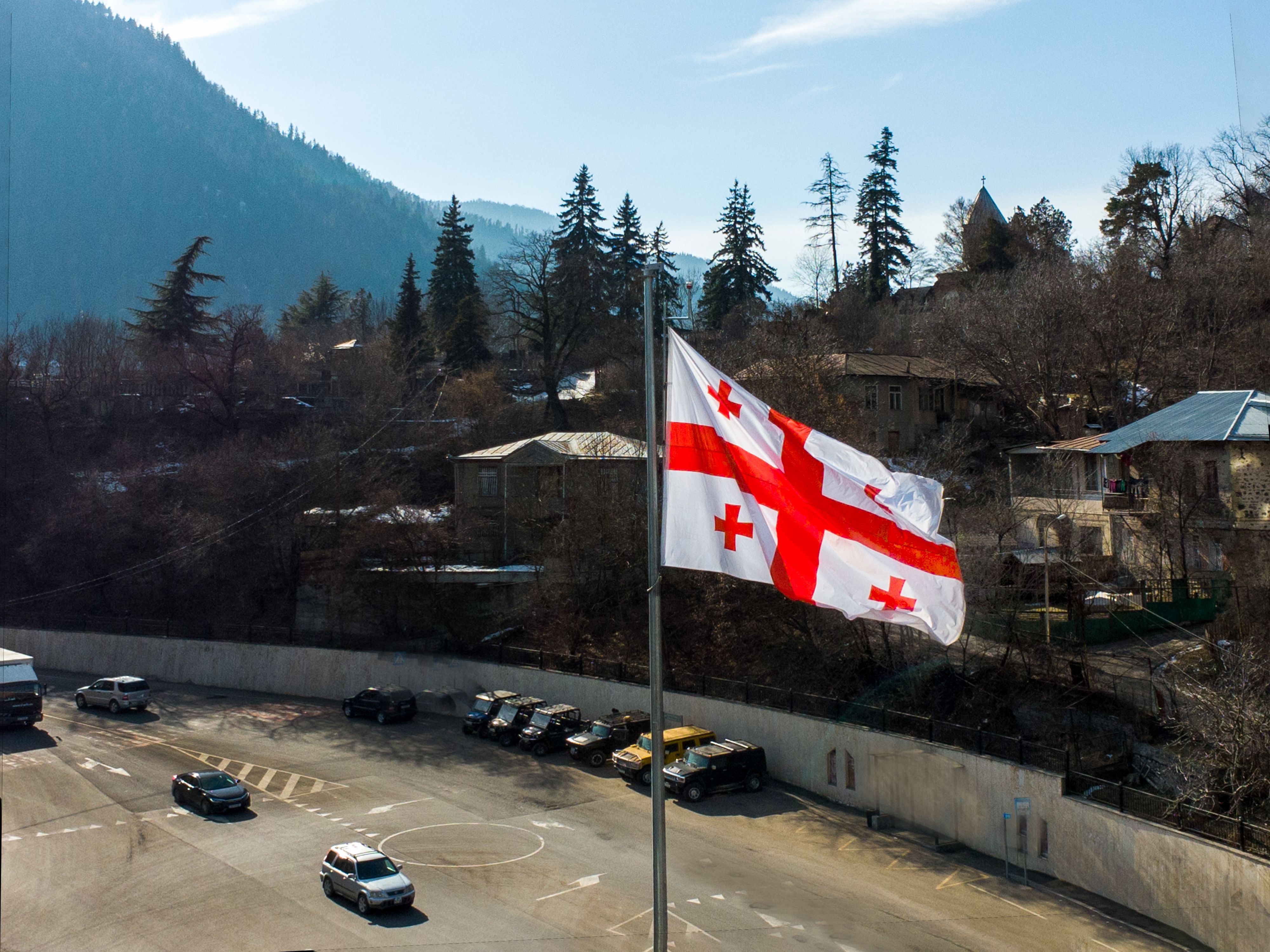 local representative Georgia