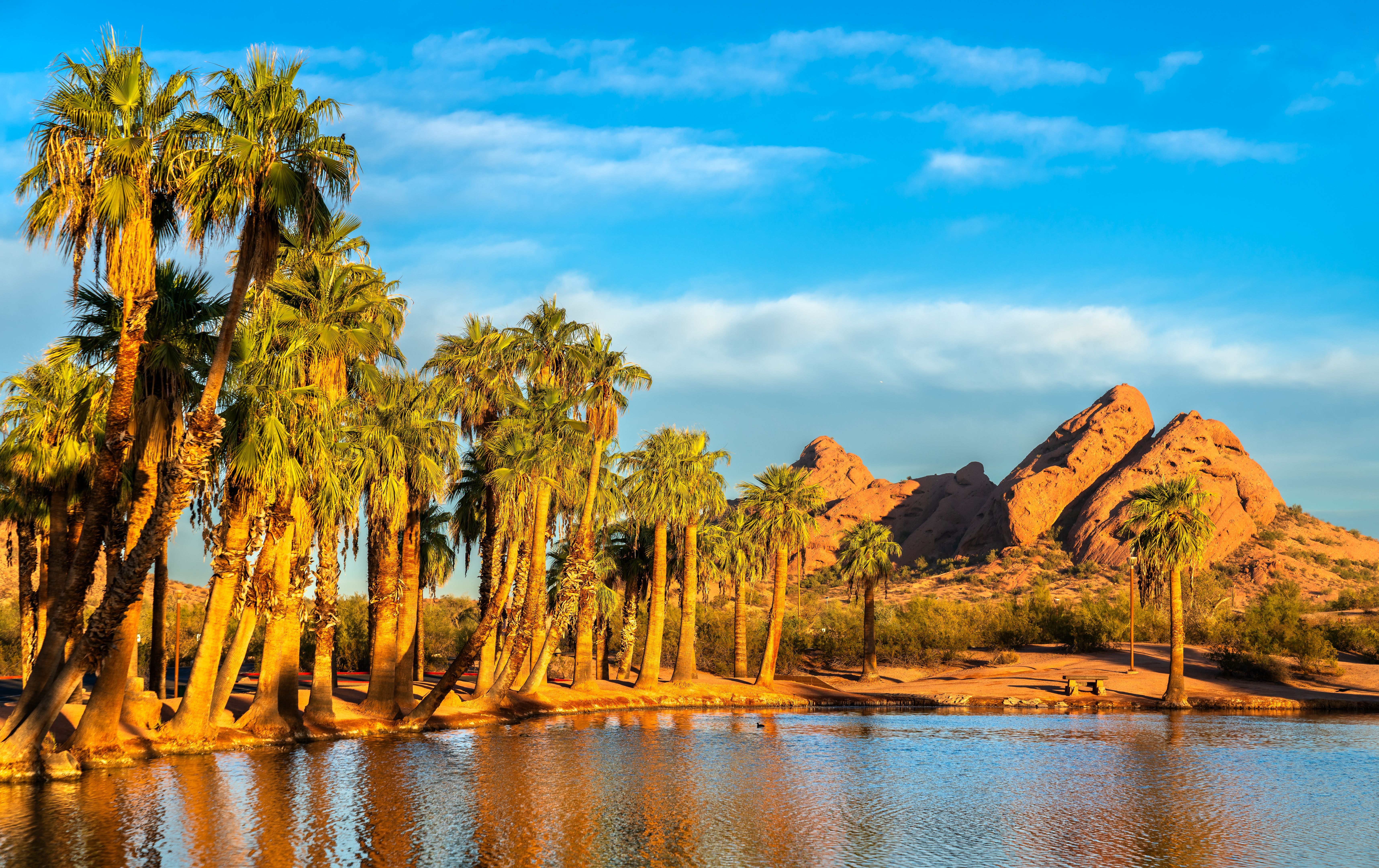 phoenix desert landscape