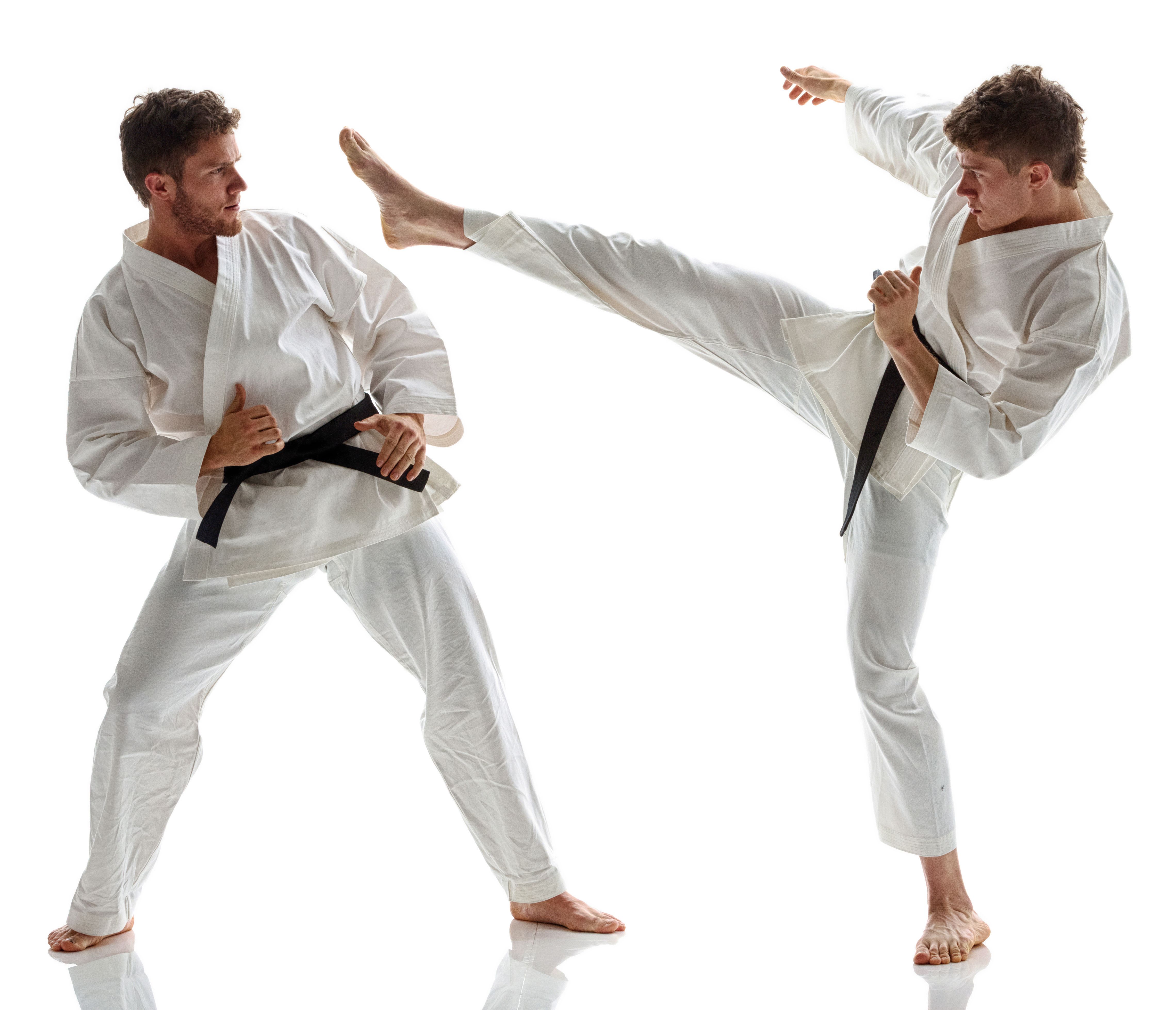 Martial Artists fighting