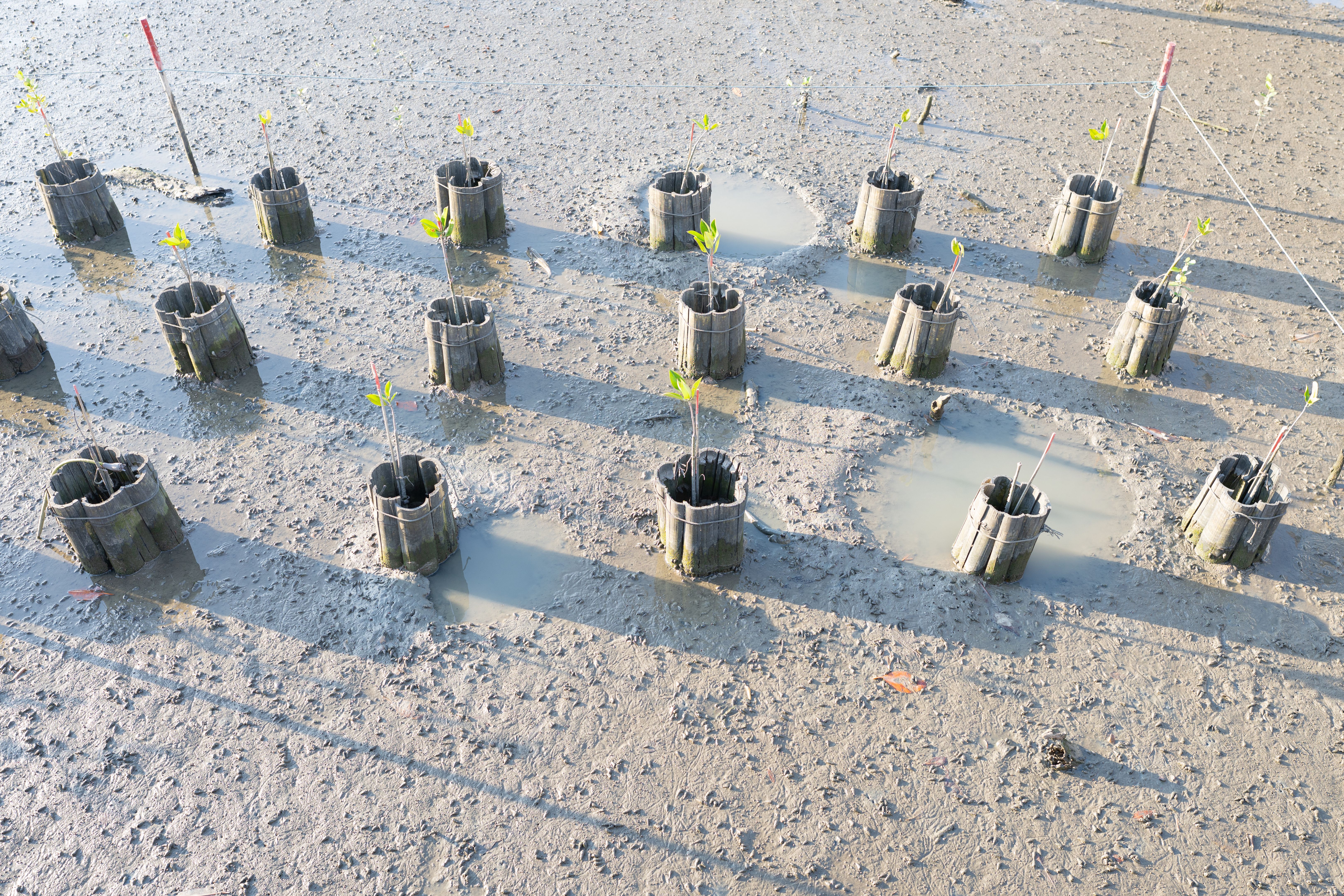 marine habitat restoration