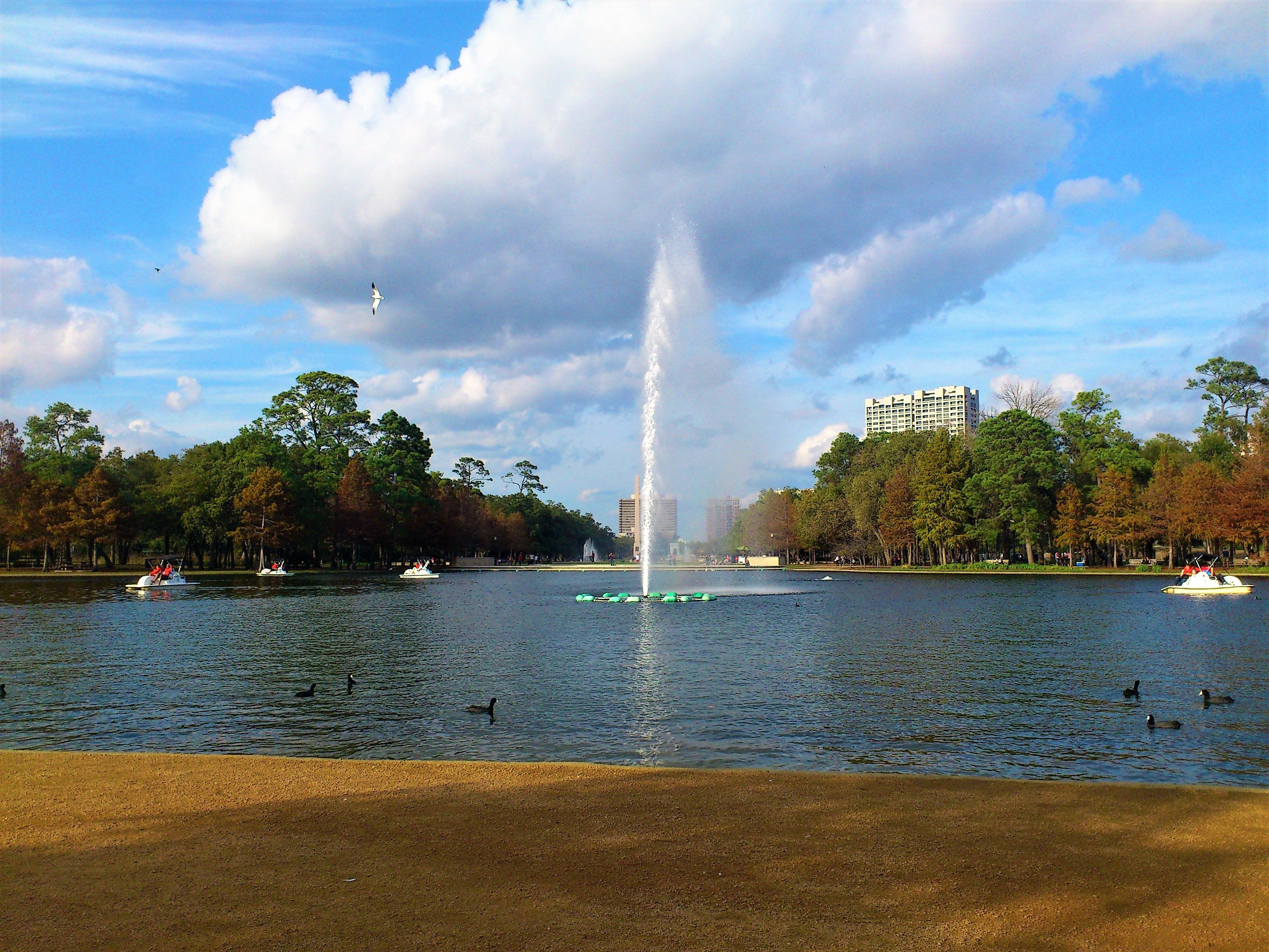 hermann park