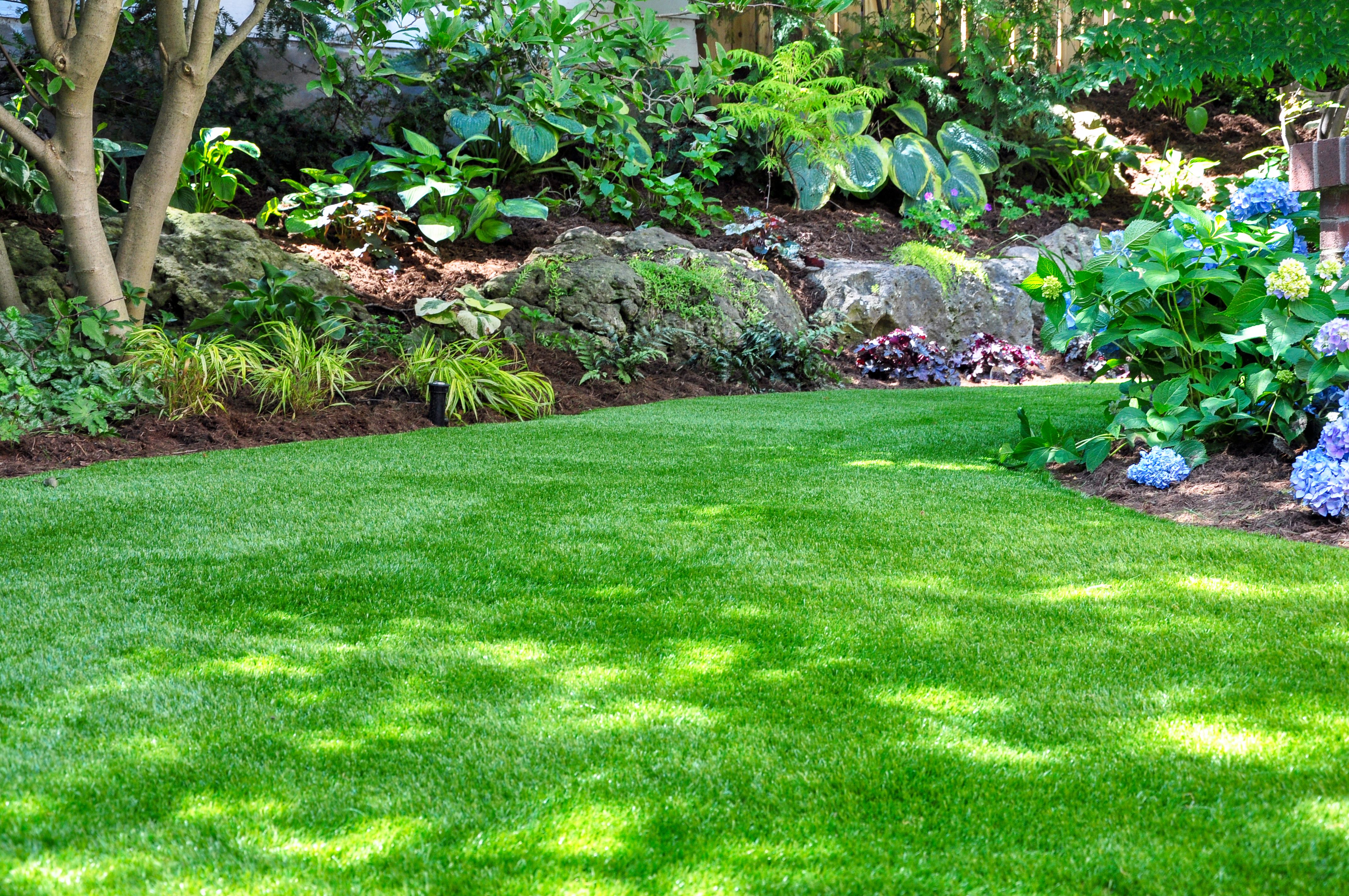 landscaping garden