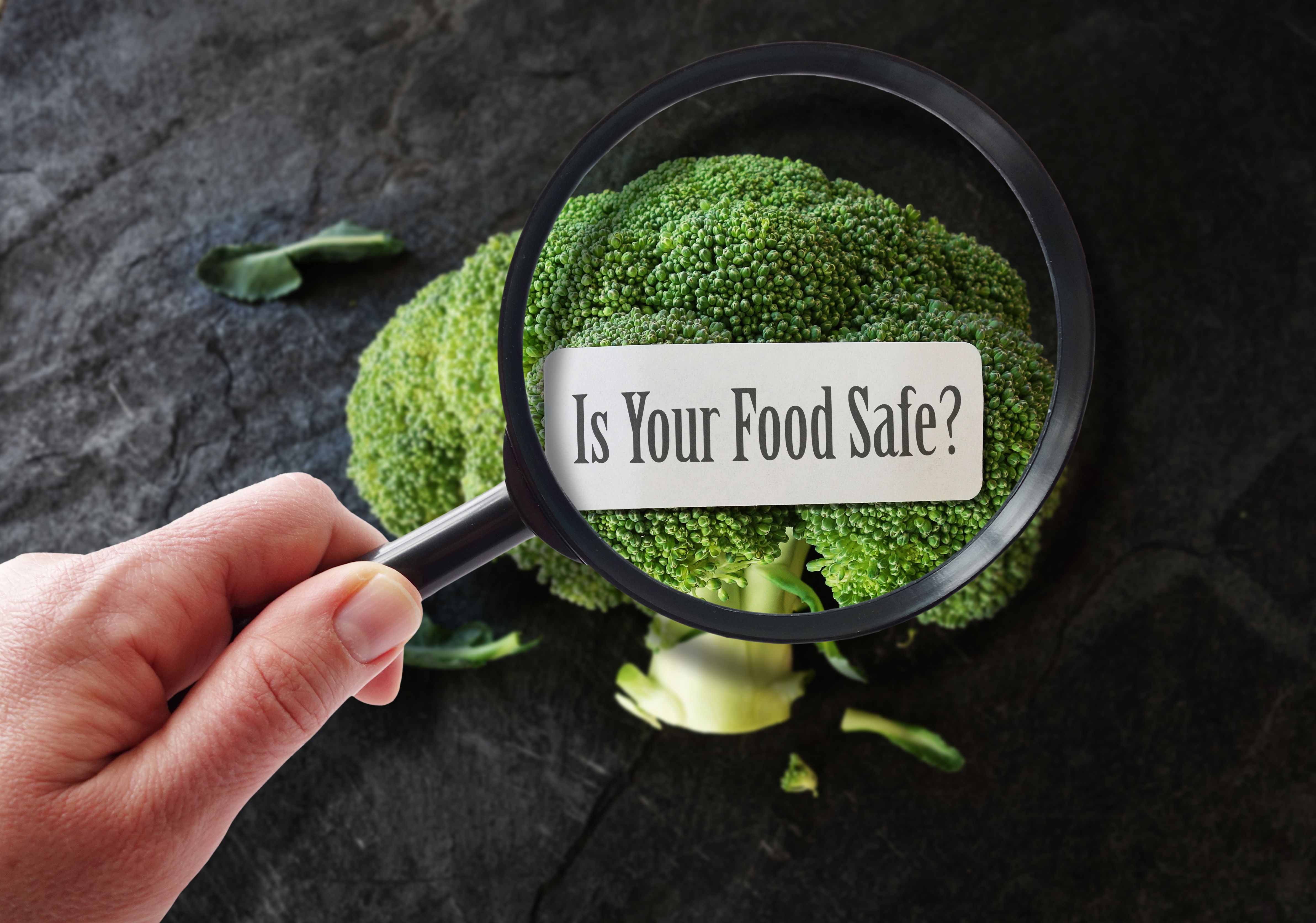 food safety