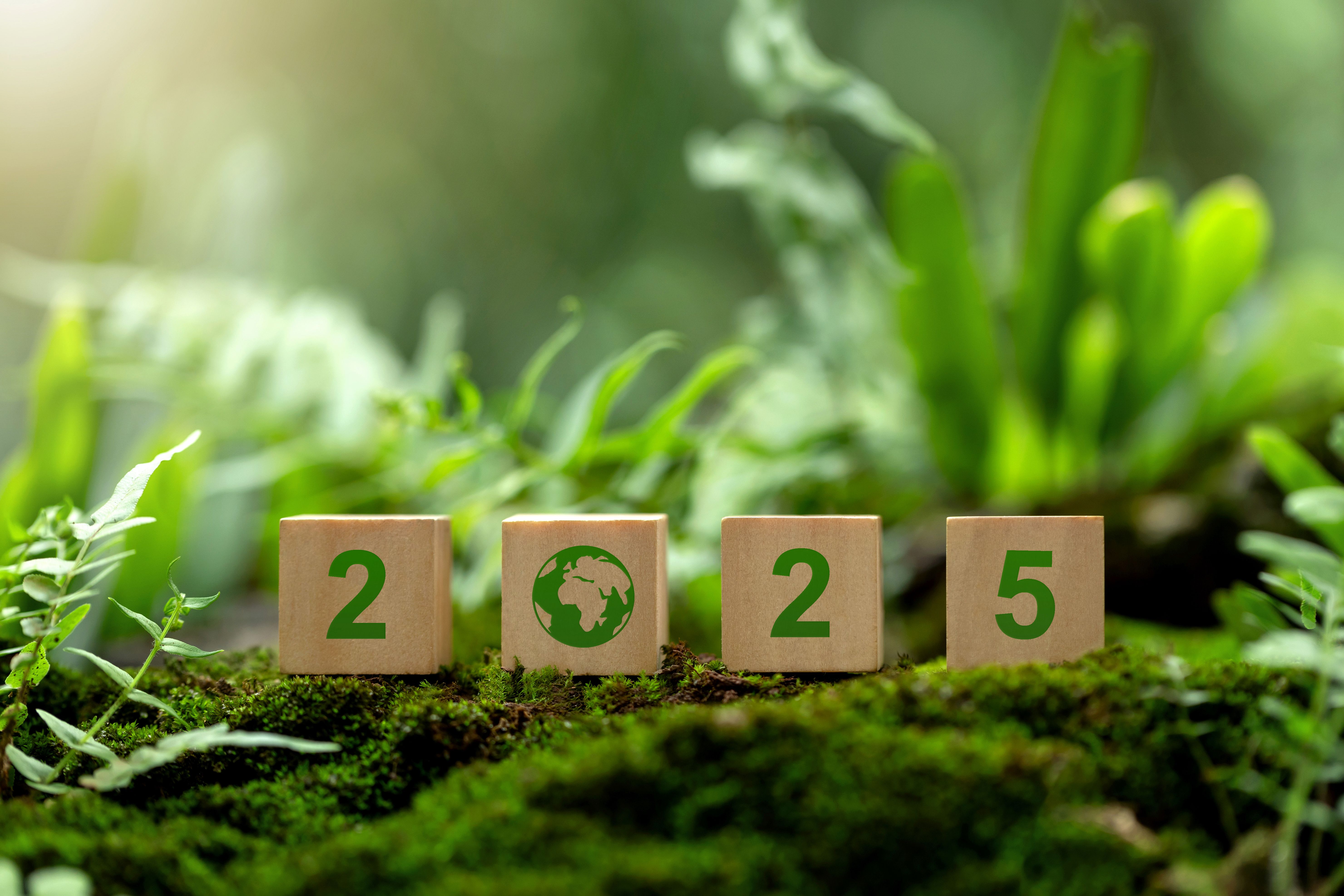 sustainable events