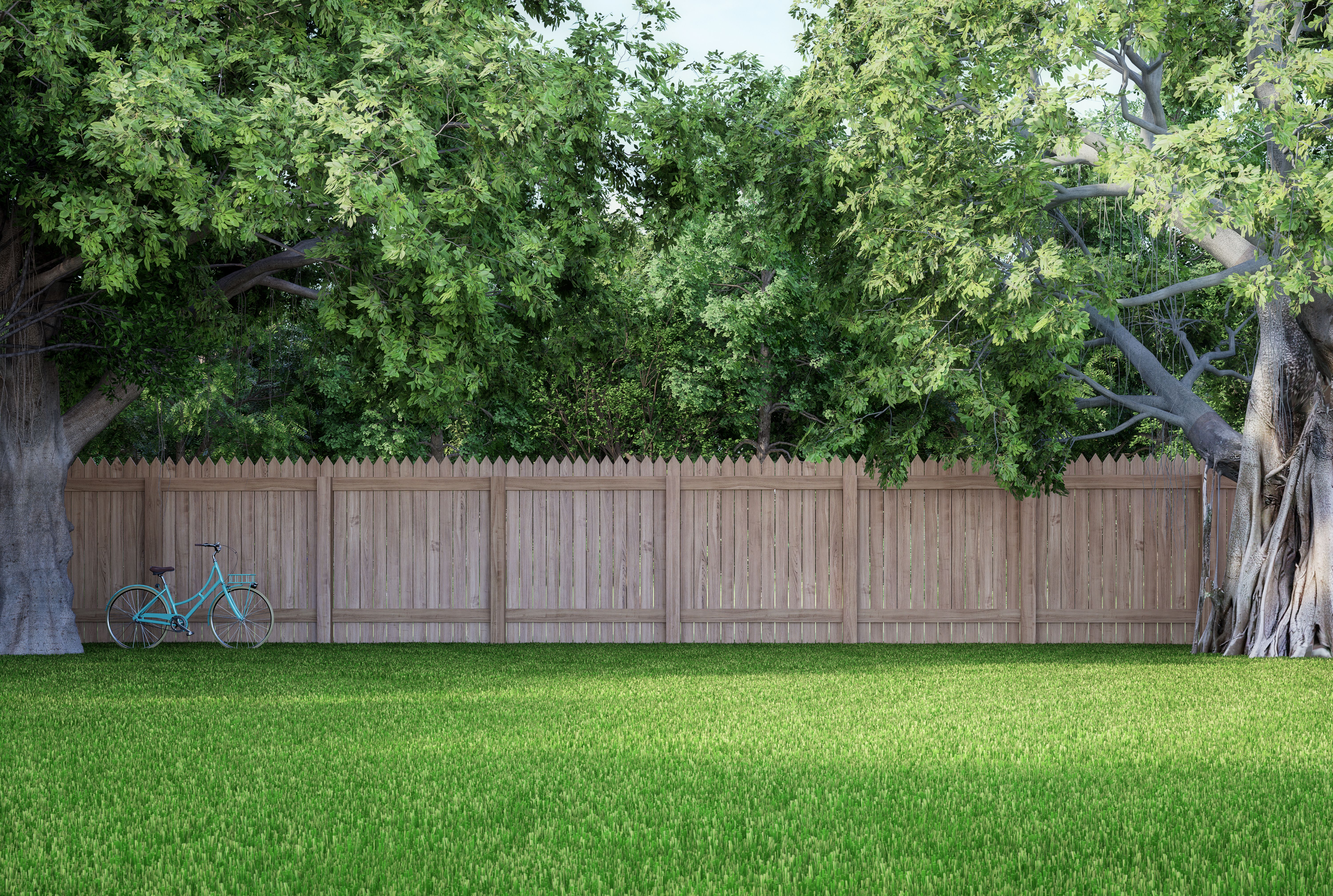 timber fence outdoors