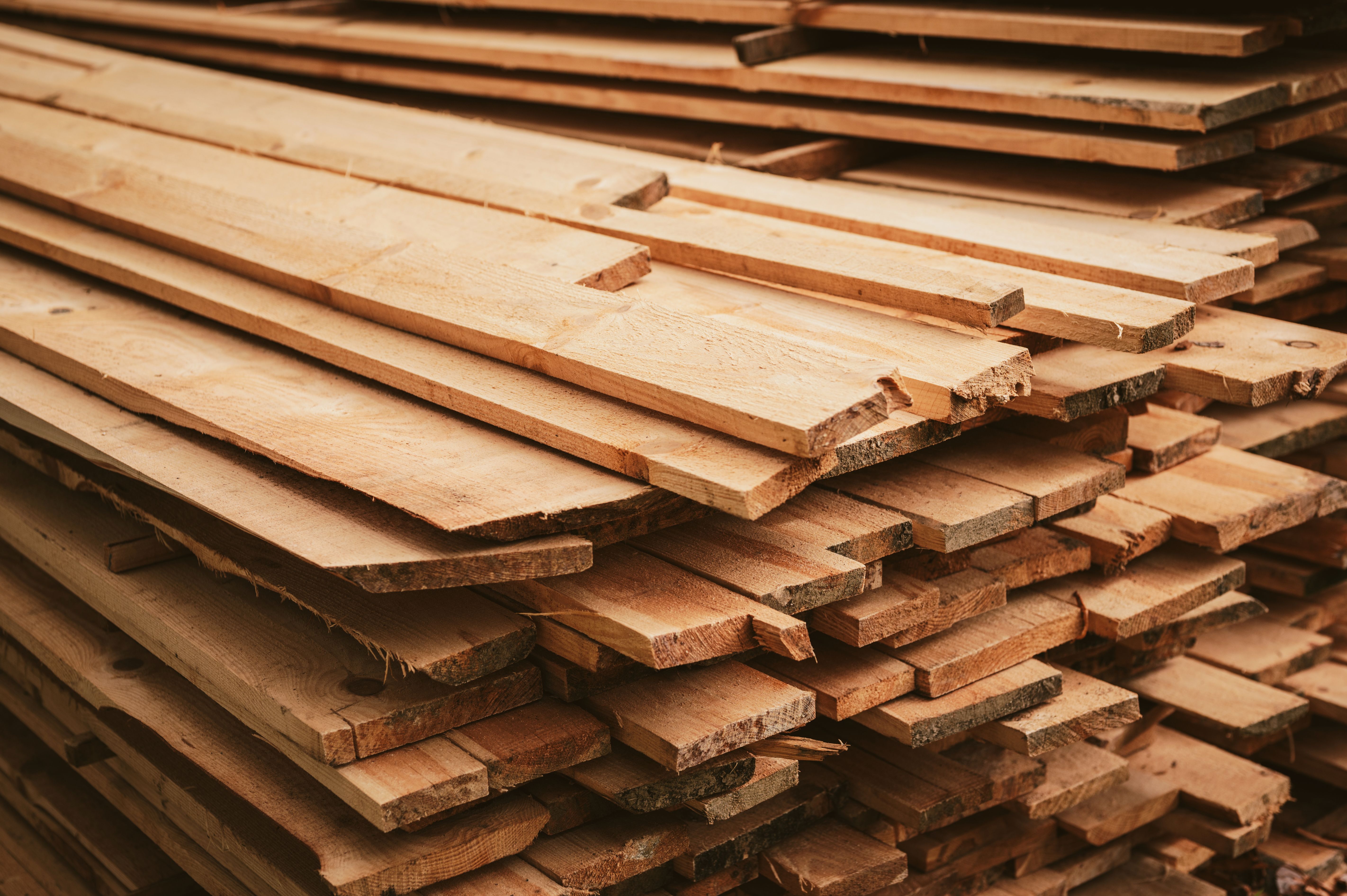 timber selection