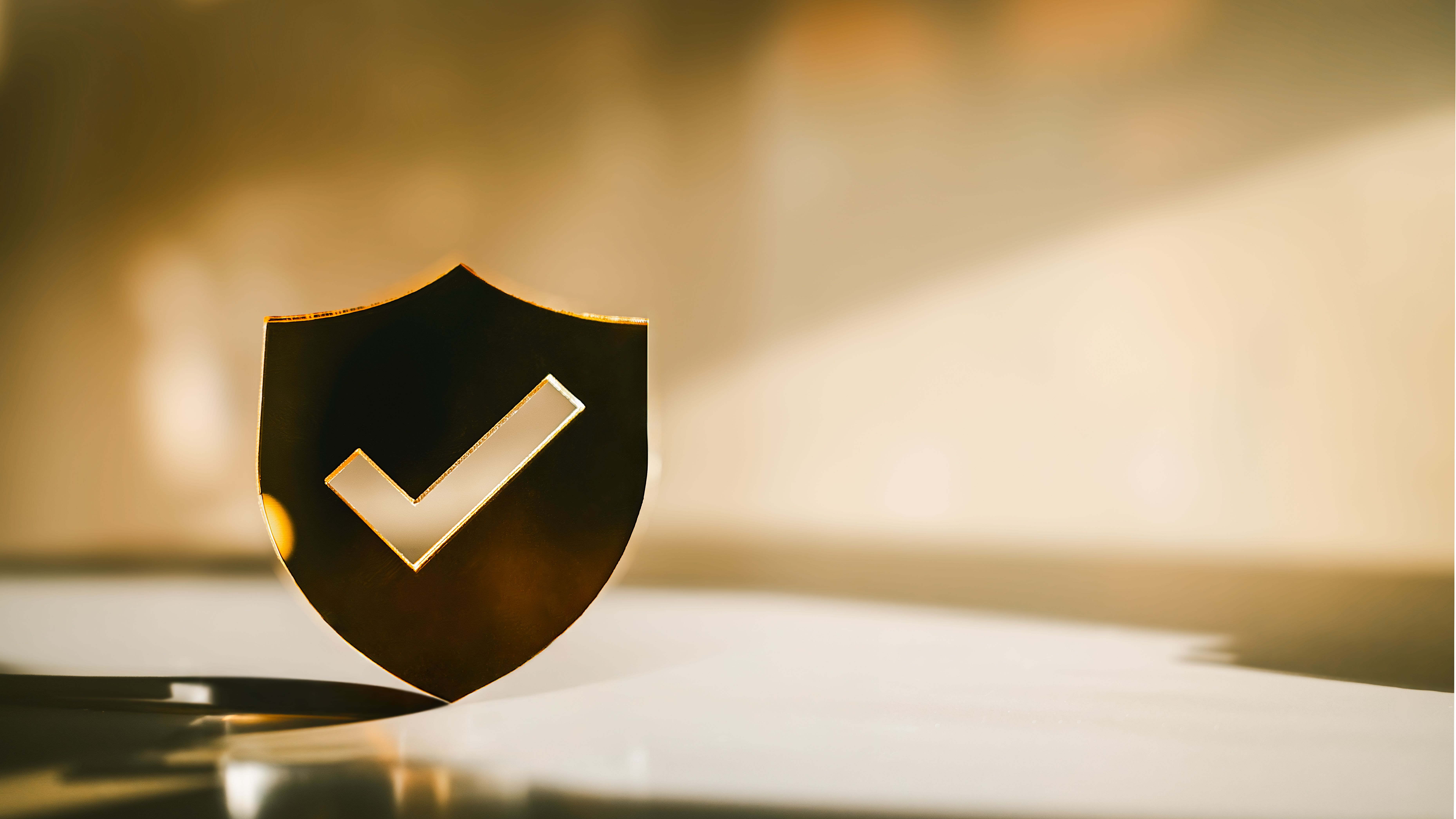 luxury brand security