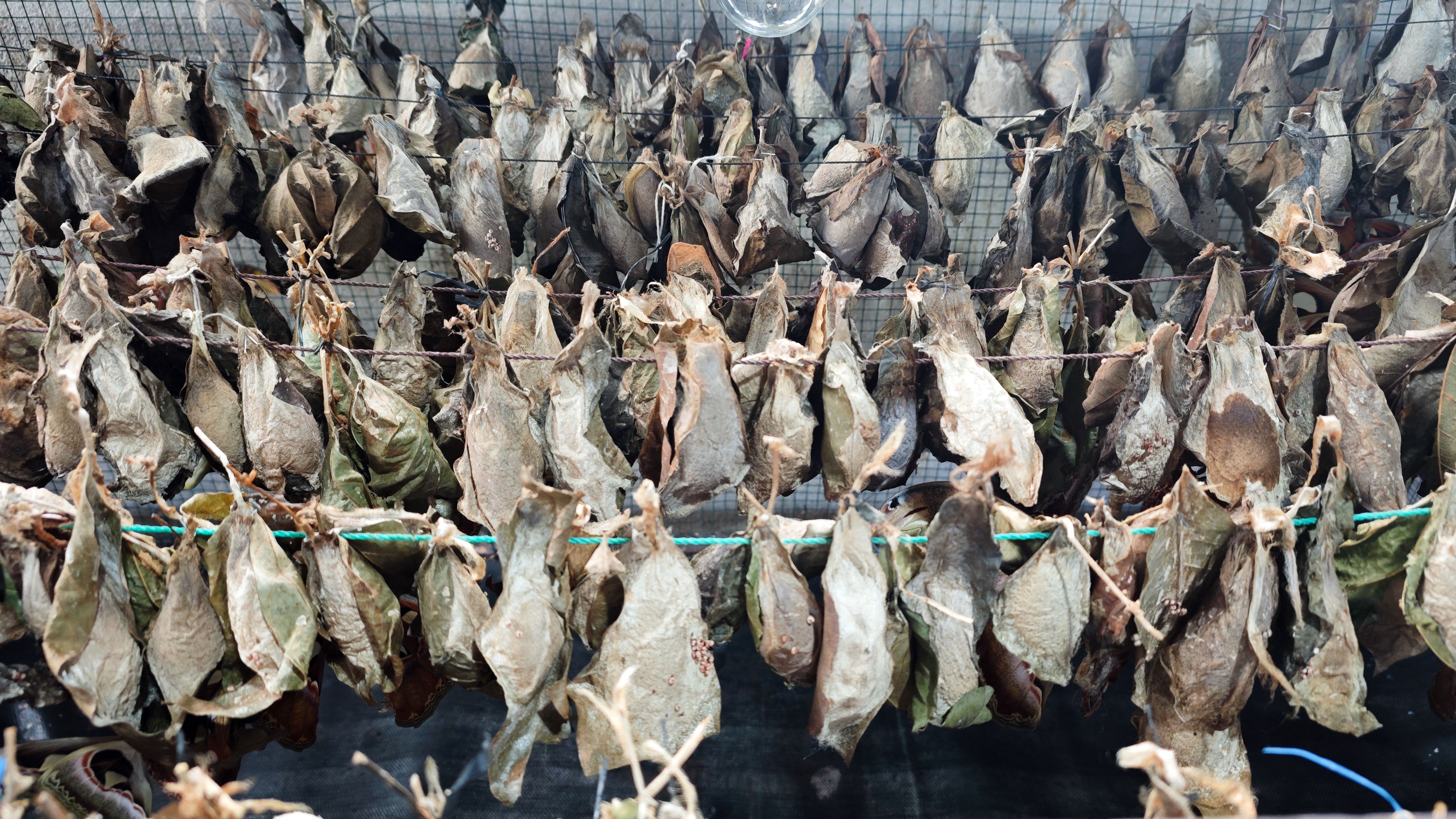 small space transformation